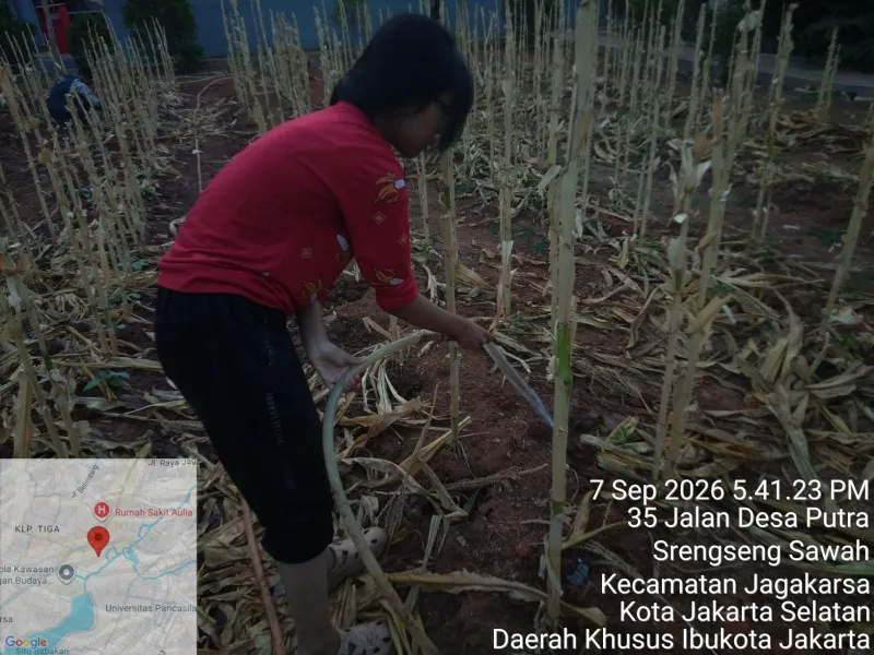 KEBUN SMKN 74 JAGAKARSA JAKARTA SELATAN - Gambar 227