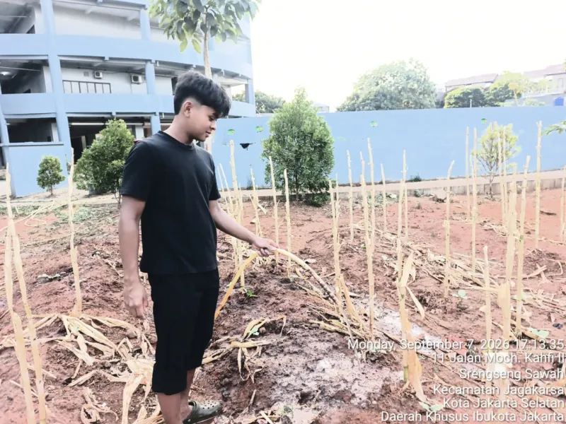 KEBUN SMKN 74 JAGAKARSA JAKARTA SELATAN - Gambar 223
