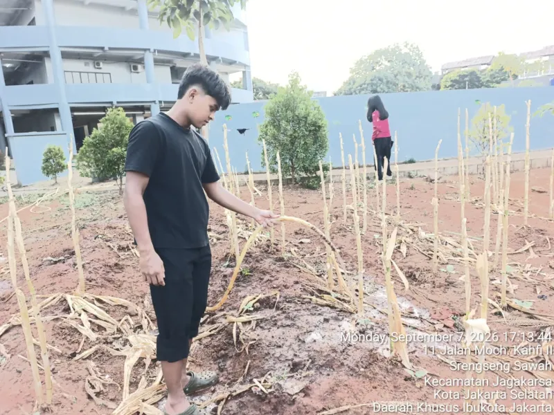 KEBUN SMKN 74 JAGAKARSA JAKARTA SELATAN - Gambar 225