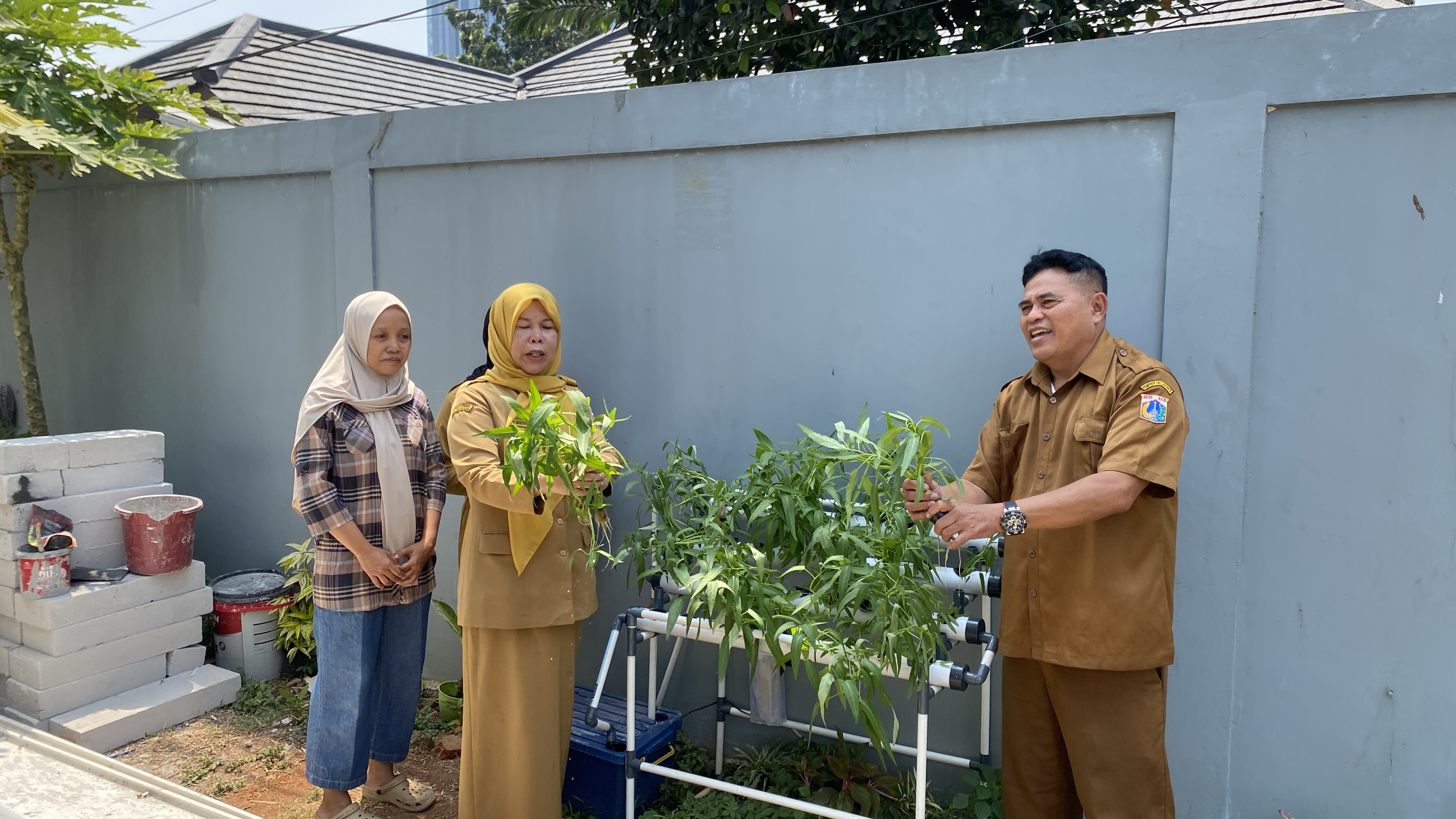 Lahan Urban Farming SDN Cipete Selatan 03 - Gambar 95