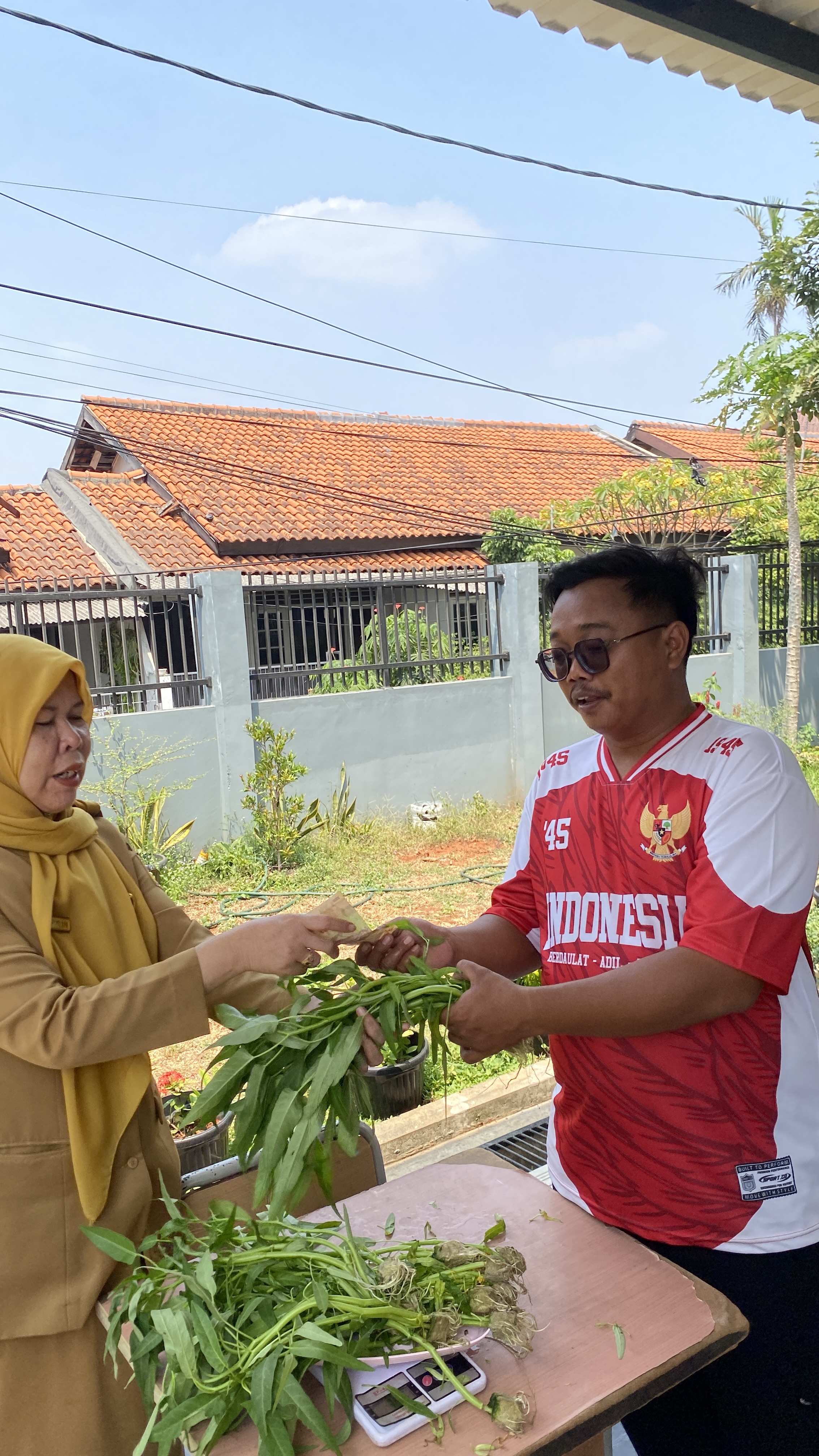 Lahan Urban Farming SDN Cipete Selatan 03 - Gambar 91