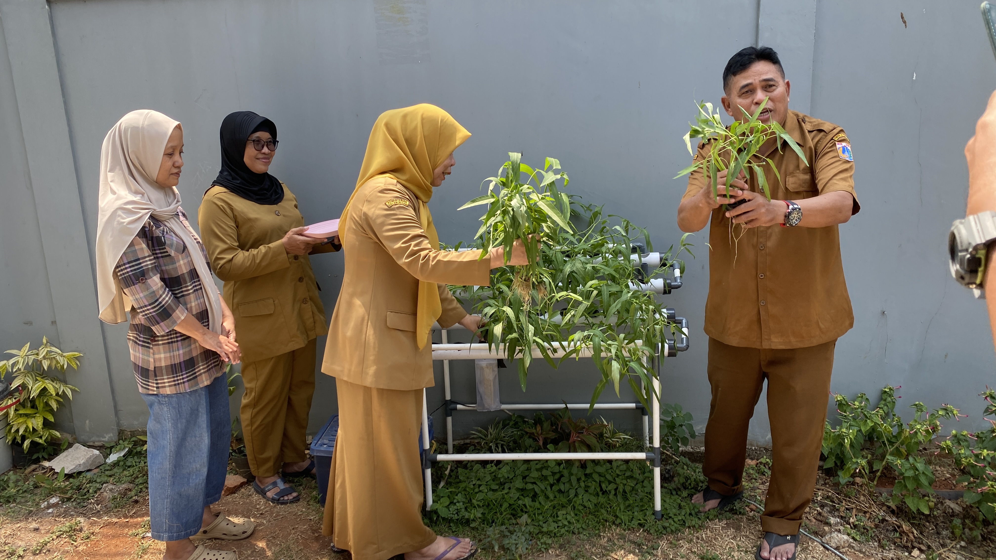 Lahan Urban Farming SDN Cipete Selatan 03 - Gambar 94
