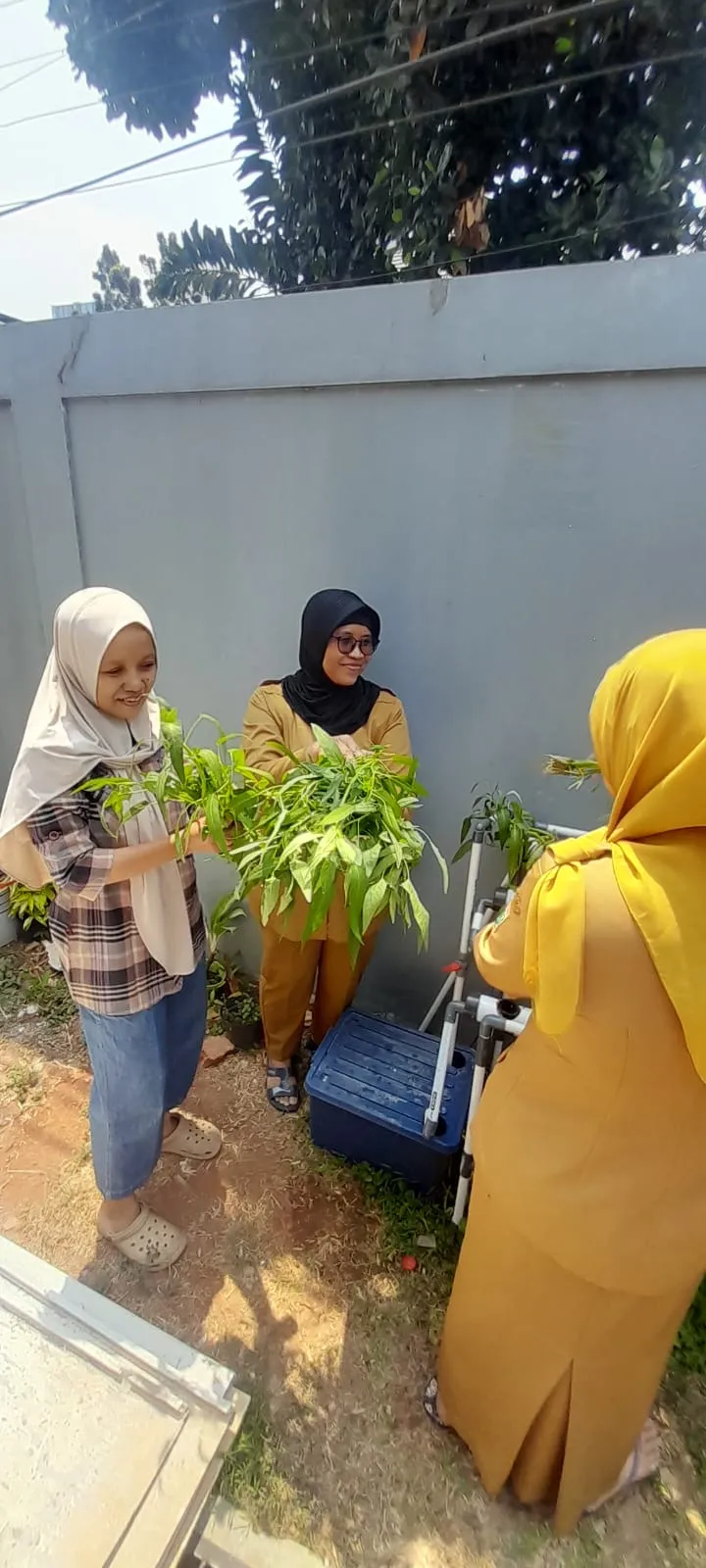 Lahan Urban Farming SDN Cipete Selatan 03 - Gambar 88