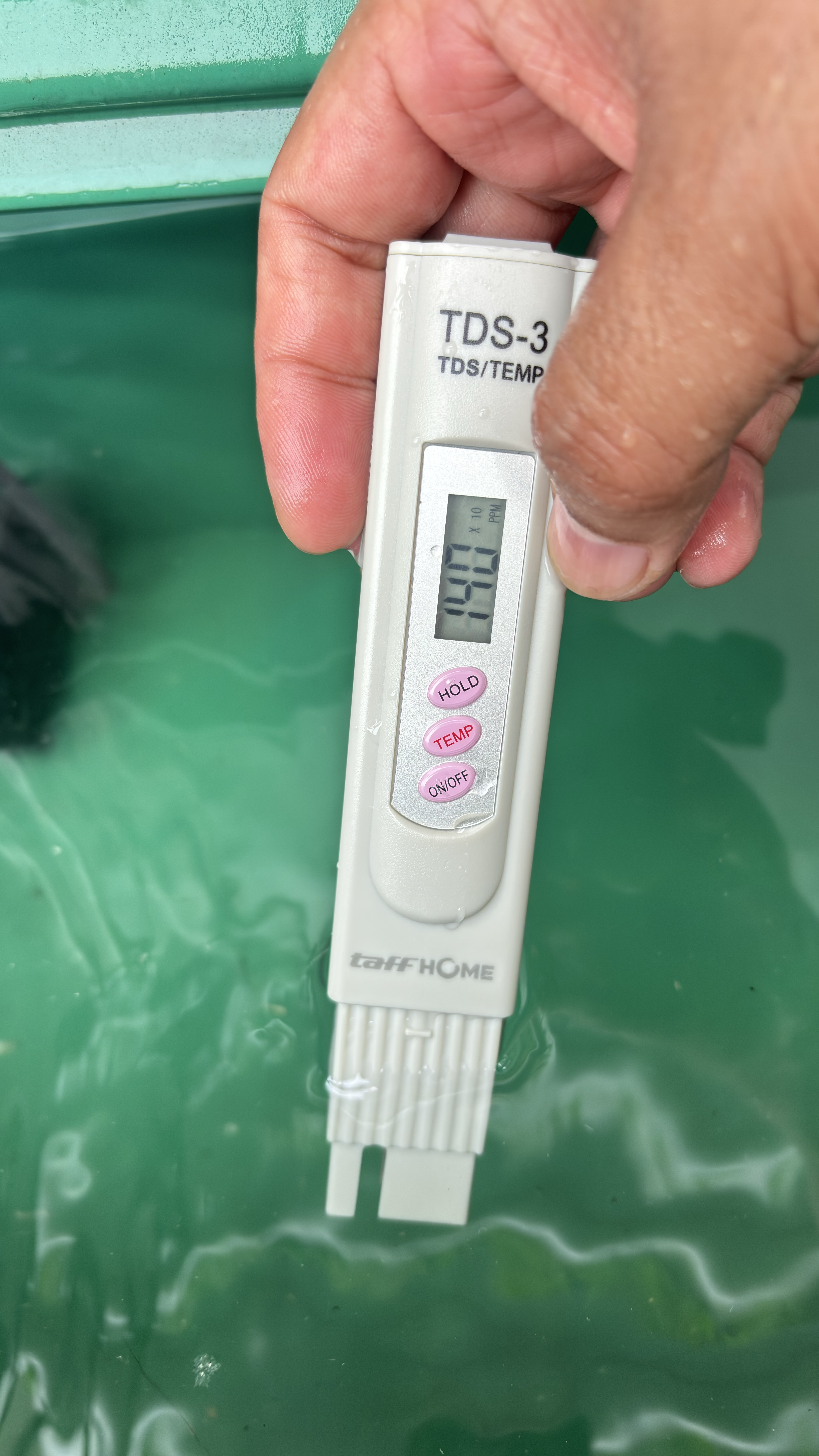 Lahan Urban Farming SMAN 116 Jakarta - Gambar 110