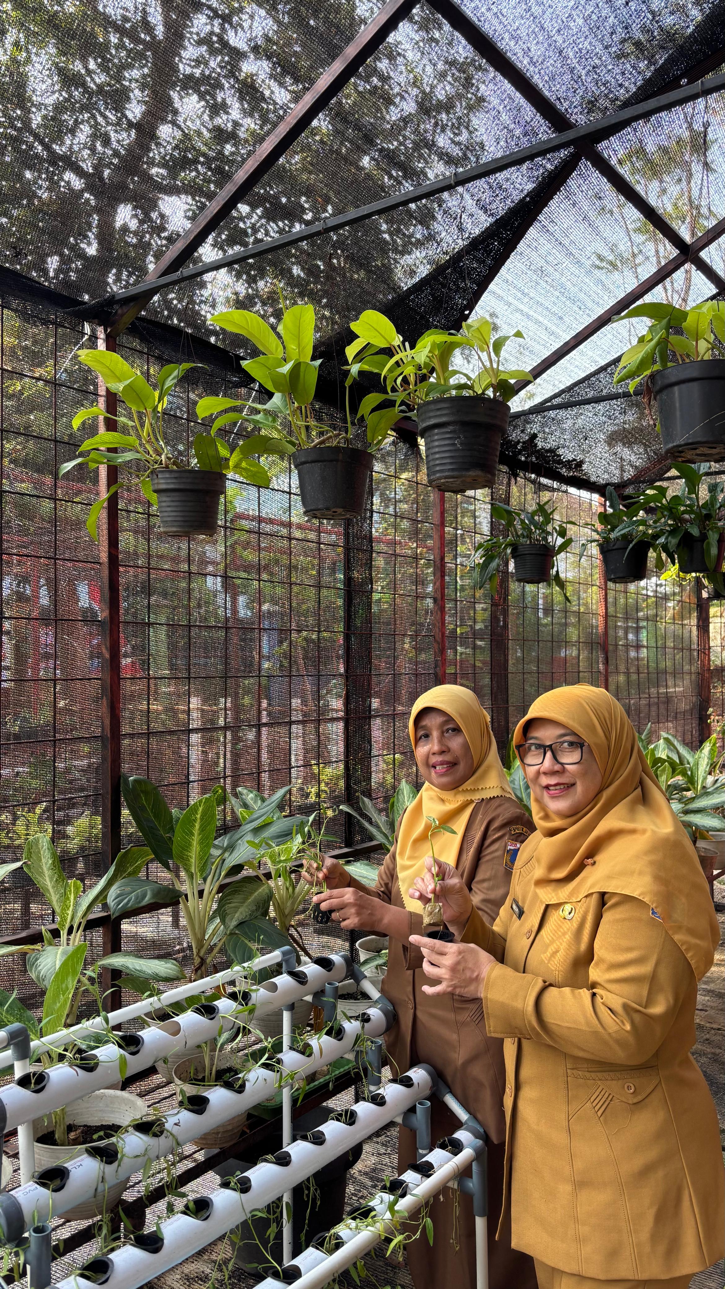 Lahan Urban Farming SMAN 109 Jakarta - Gambar 184