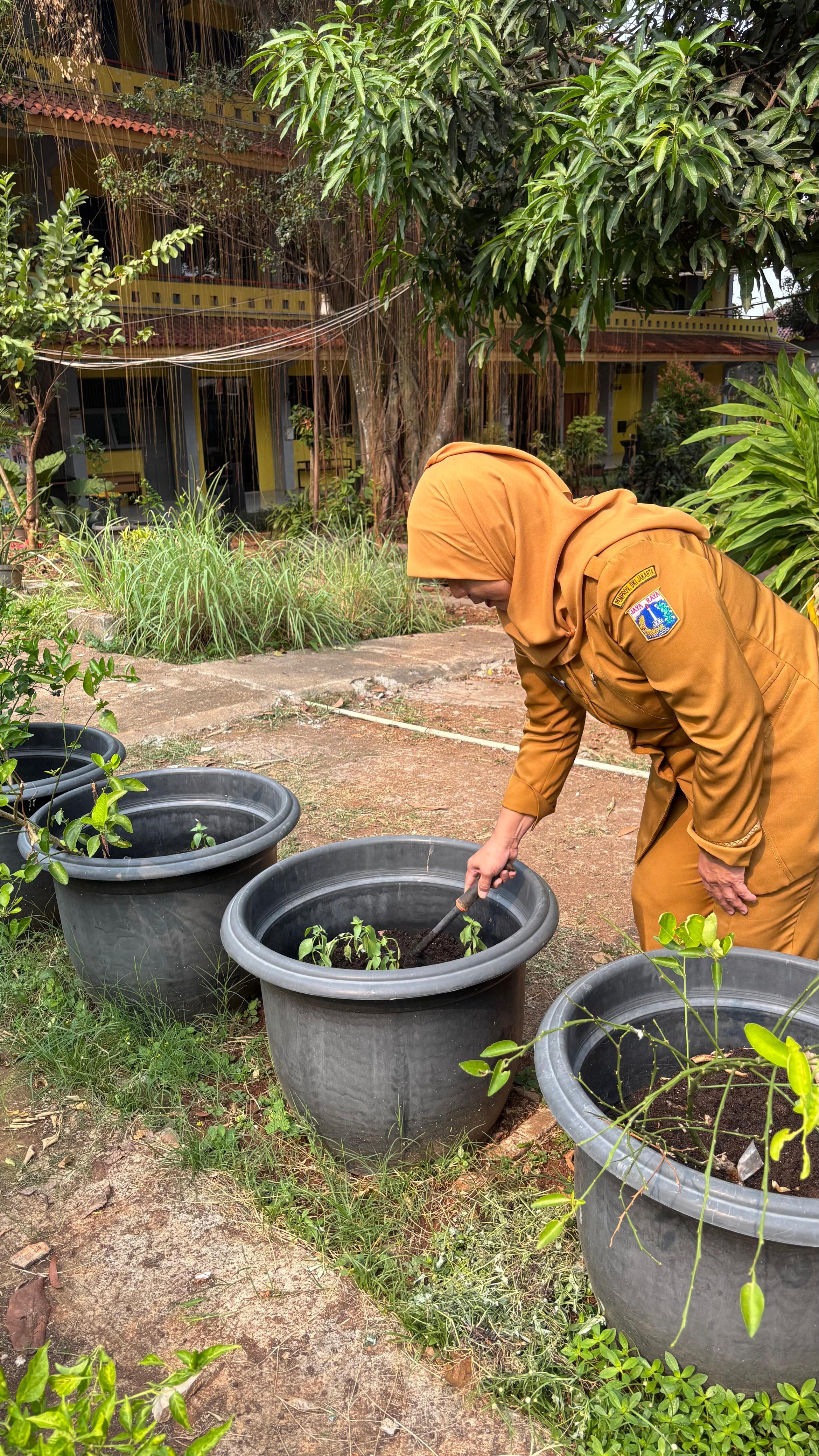 Lahan Urban Farming SMAN 109 Jakarta - Gambar 181