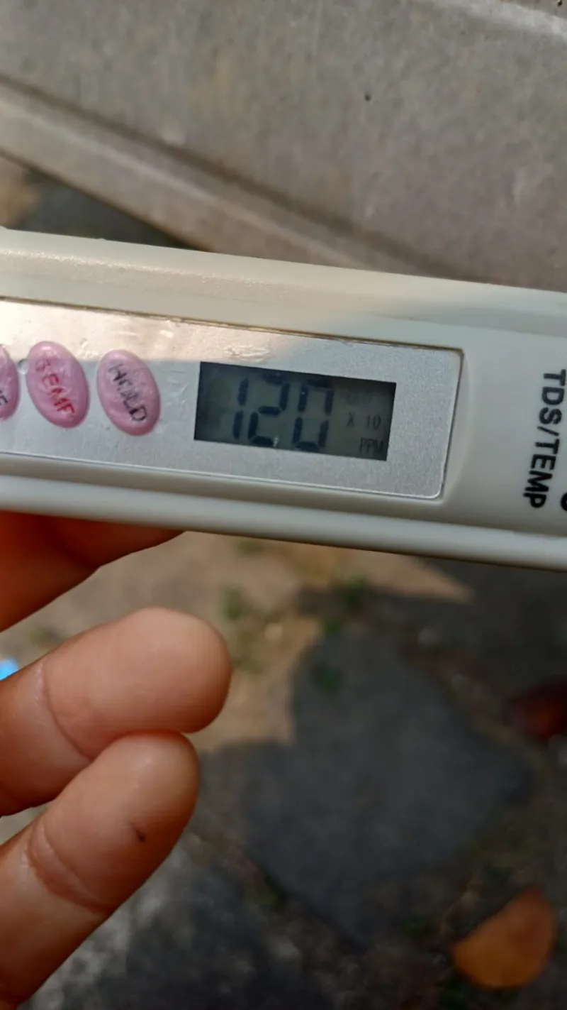 Lahan Urban Farming SMKN 59 Jakarta - Gambar 181