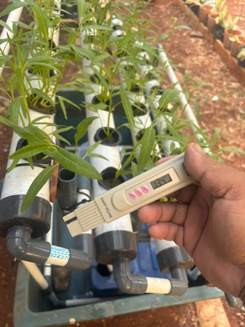 Lahan Urban Farming SLBN 01 Lebak Bulus - Gambar 53