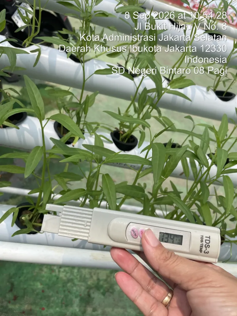 Lahan Urban Farming SDN Bintaro 09 - Gambar 130