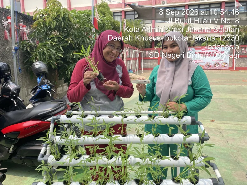 Lahan Urban Farming SDN Bintaro 09 - Gambar 128