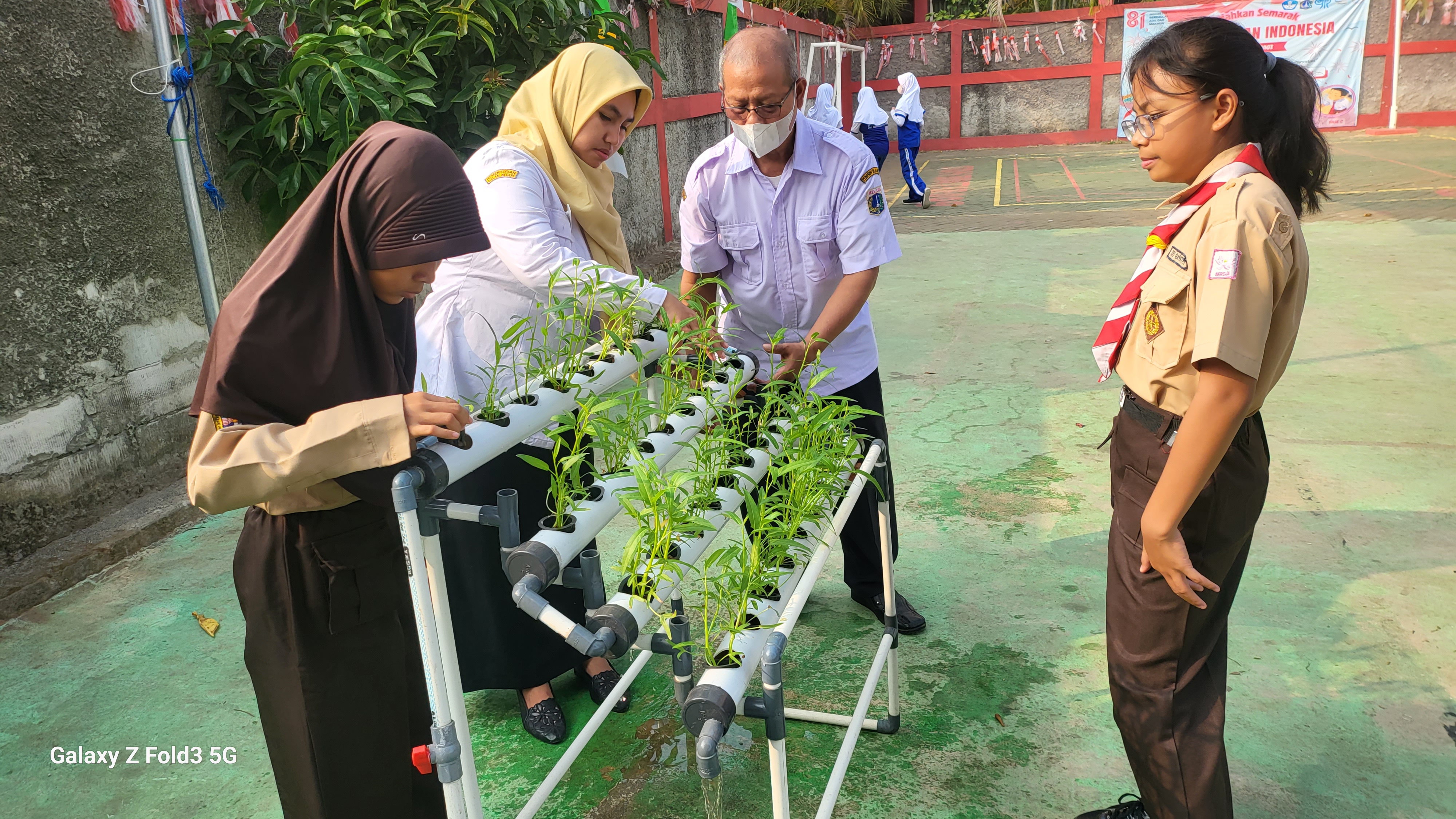 Lahan Urban Farming SDN Bintaro 09 - Gambar 125
