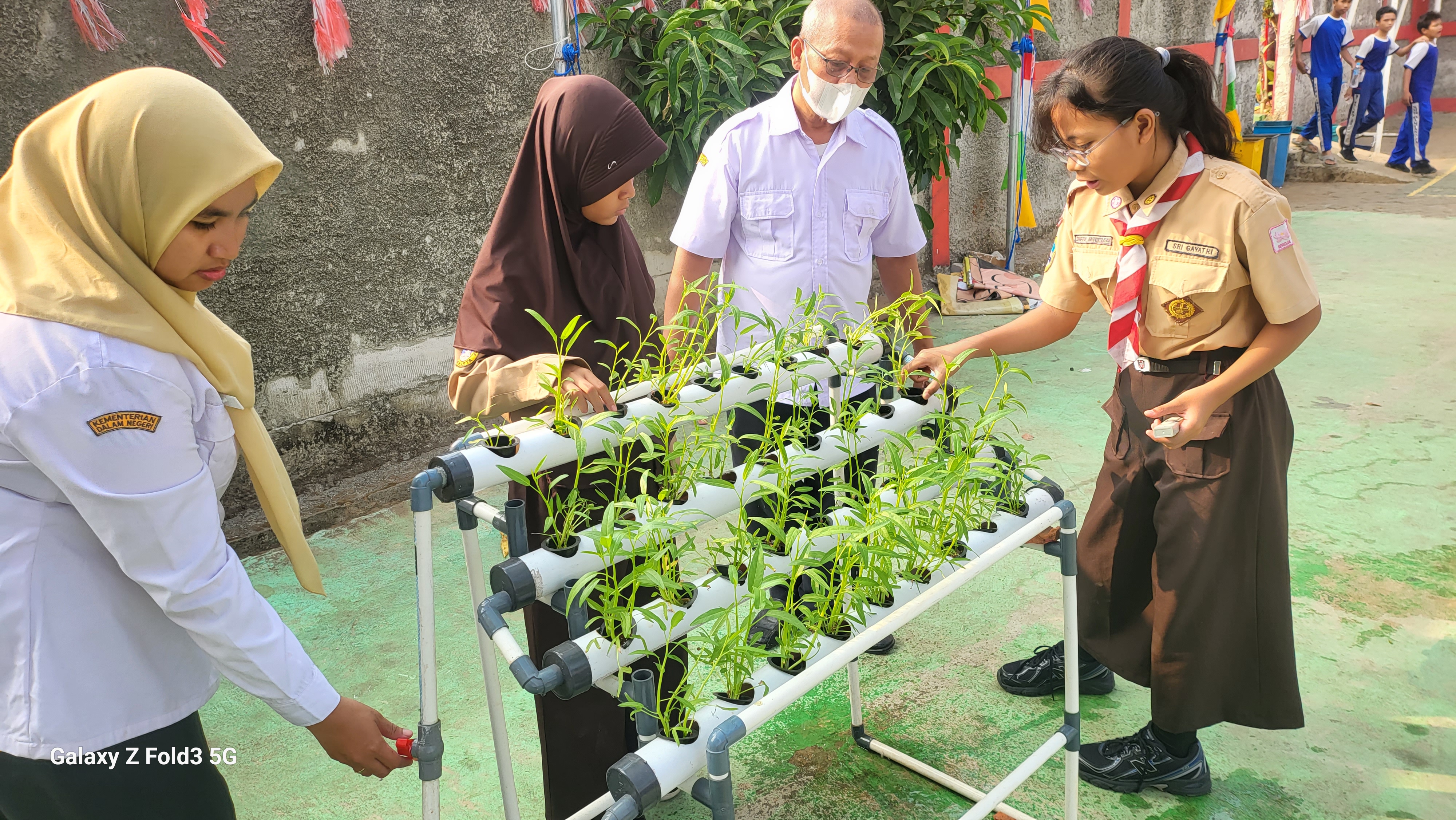 Lahan Urban Farming SDN Bintaro 09 - Gambar 126