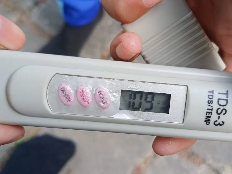 Lahan Urban Farming SMKN 59 Jakarta - Gambar 177