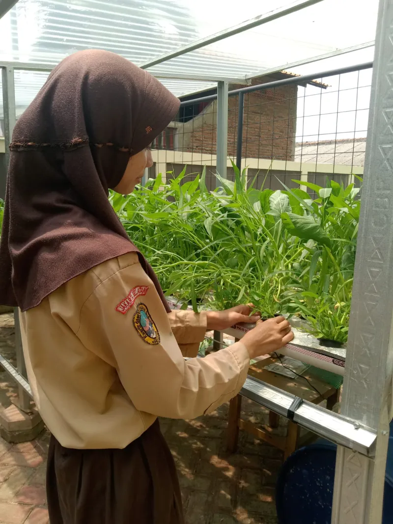 Lahan Urban Farming SDN Lenteng Agung 07 Jakarta - Gambar 81