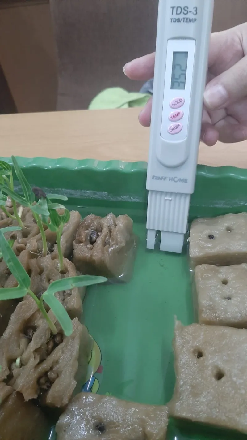 Lahan Urban Farming SMKN 20 Jakarta - Gambar 93