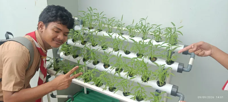 Lahan Urban Farming SMAN 116 Jakarta - Gambar 100