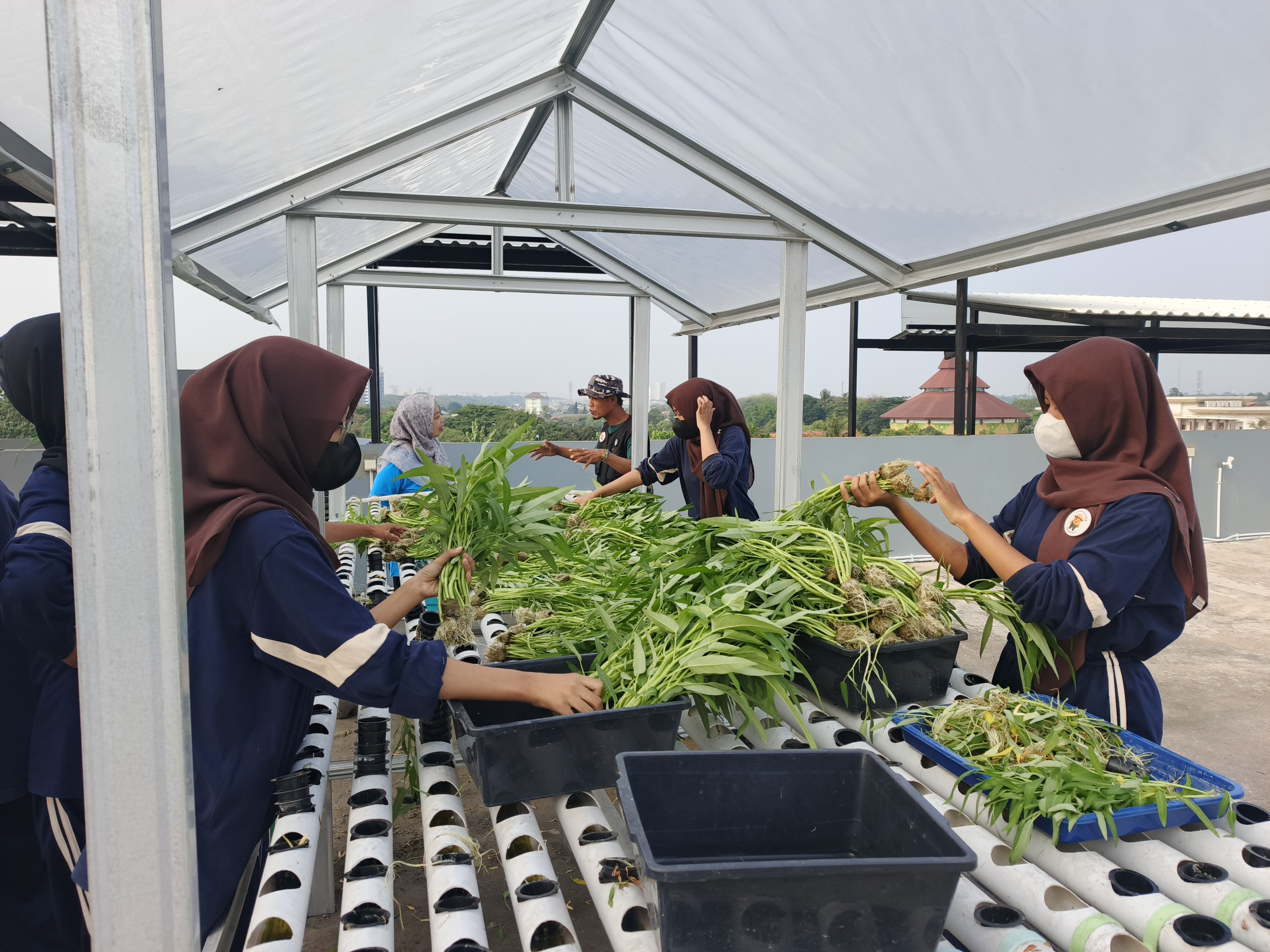 KEBUN SMKN 74 JAGAKARSA JAKARTA SELATAN - Gambar 213