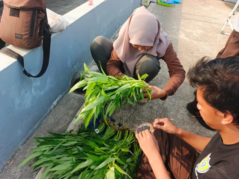 KEBUN SMKN 74 JAGAKARSA JAKARTA SELATAN - Gambar 211