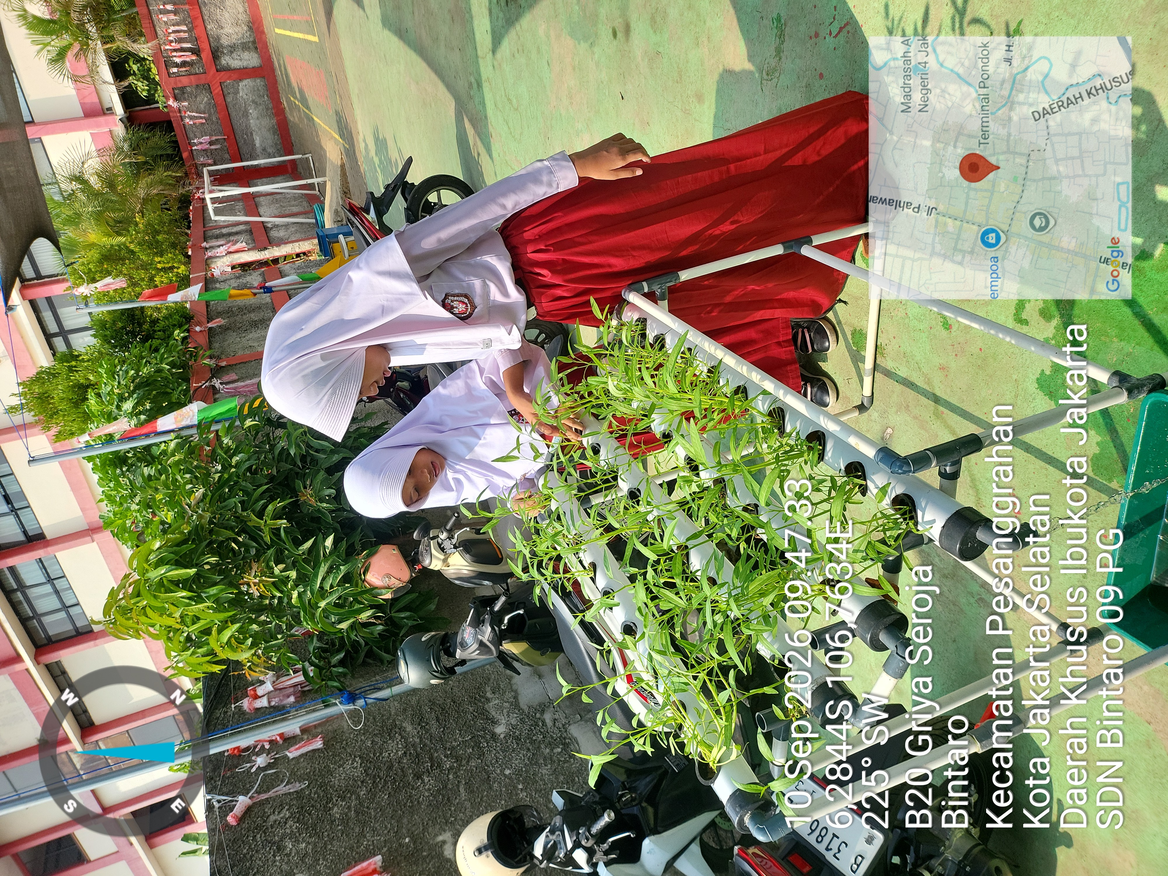 Lahan Urban Farming SDN Bintaro 09 - Gambar 120