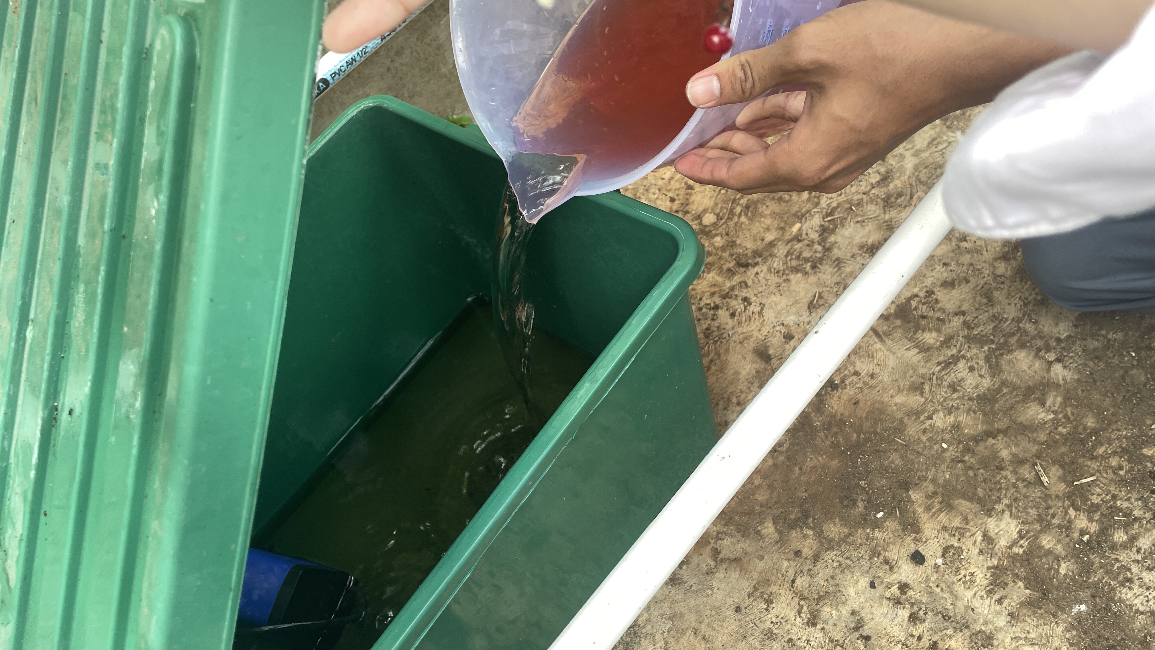 Lahan Urban Farming SMAN 63 Jakarta - Gambar 59