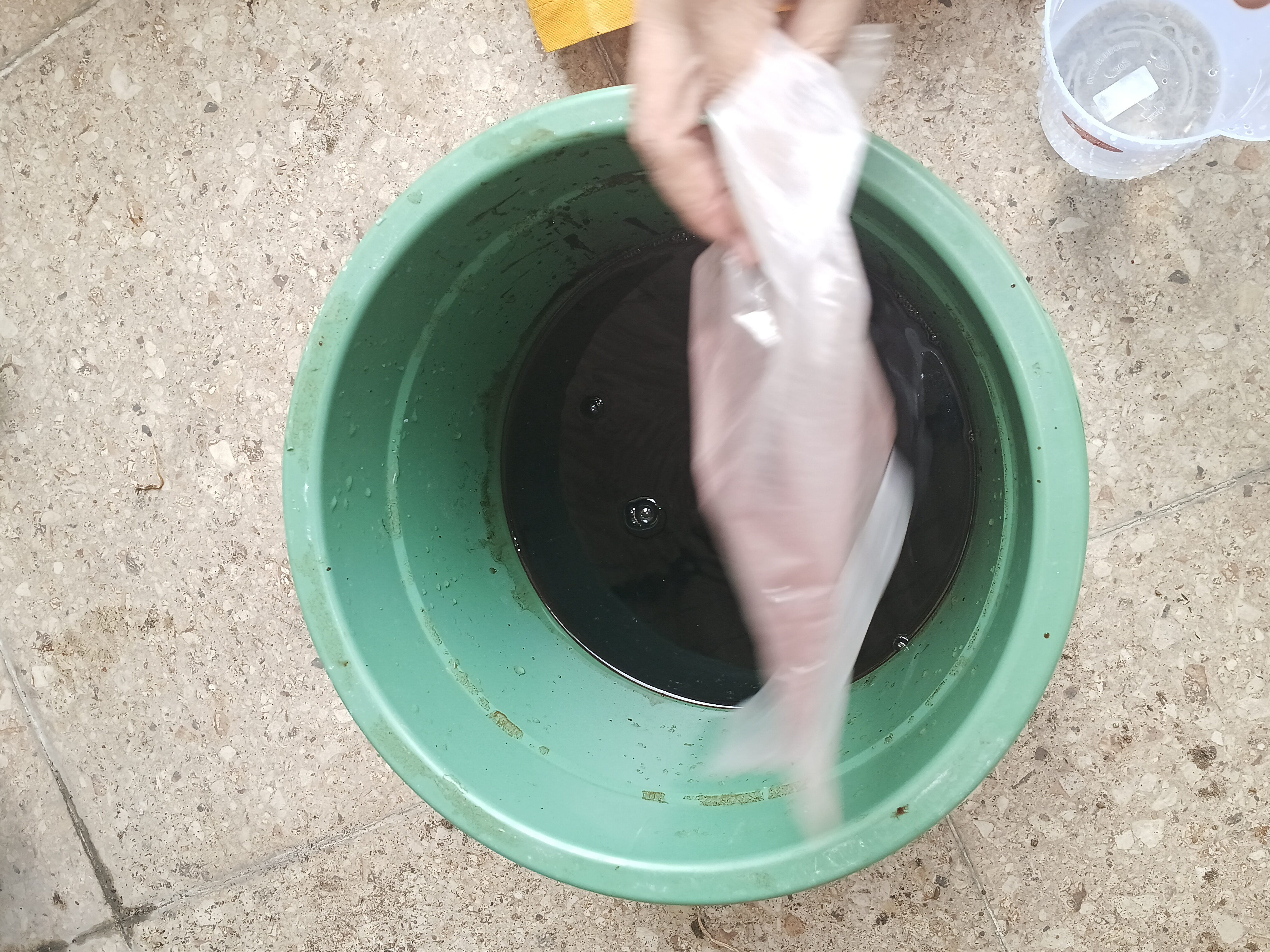 Lahan Urban Farming SMKN 41 Jakarta - Gambar 47
