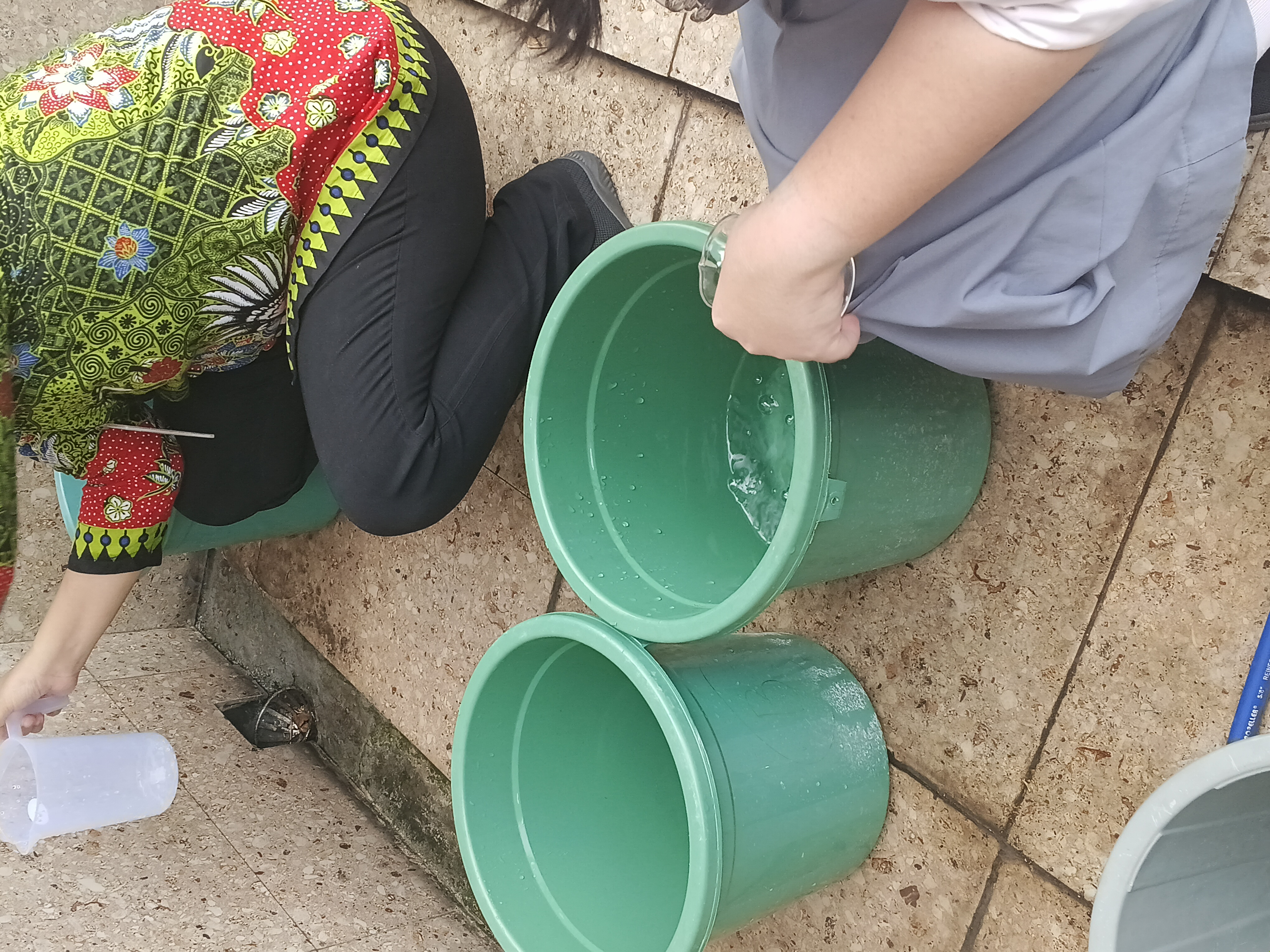 Lahan Urban Farming SMKN 41 Jakarta - Gambar 48