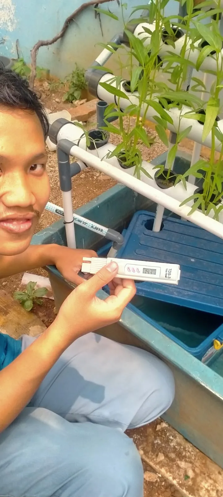 Lahan Urban Farming SLBN 01 Lebak Bulus - Gambar 47