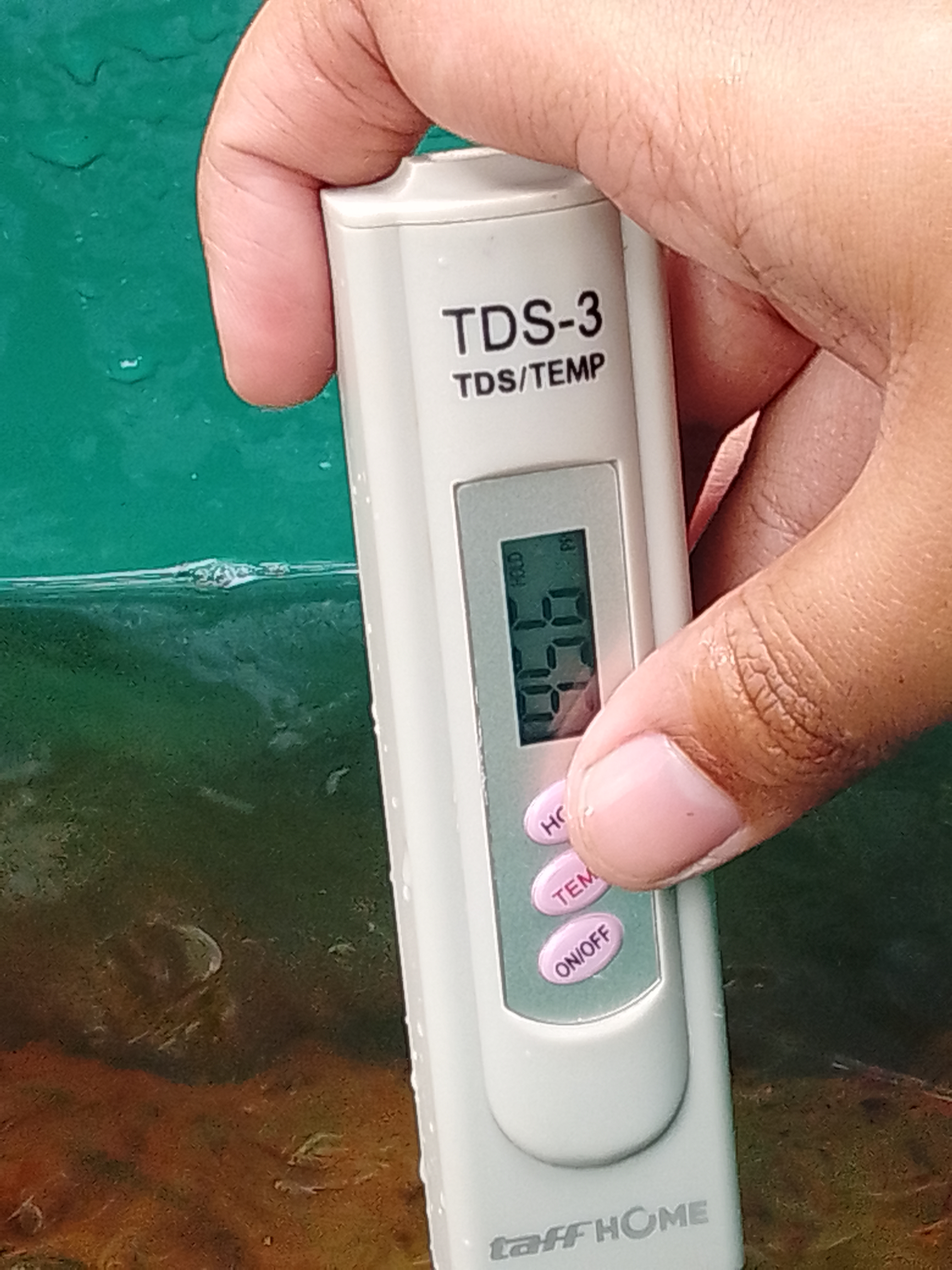 Lahan Urban Farming SMKN 59 Jakarta - Gambar 171