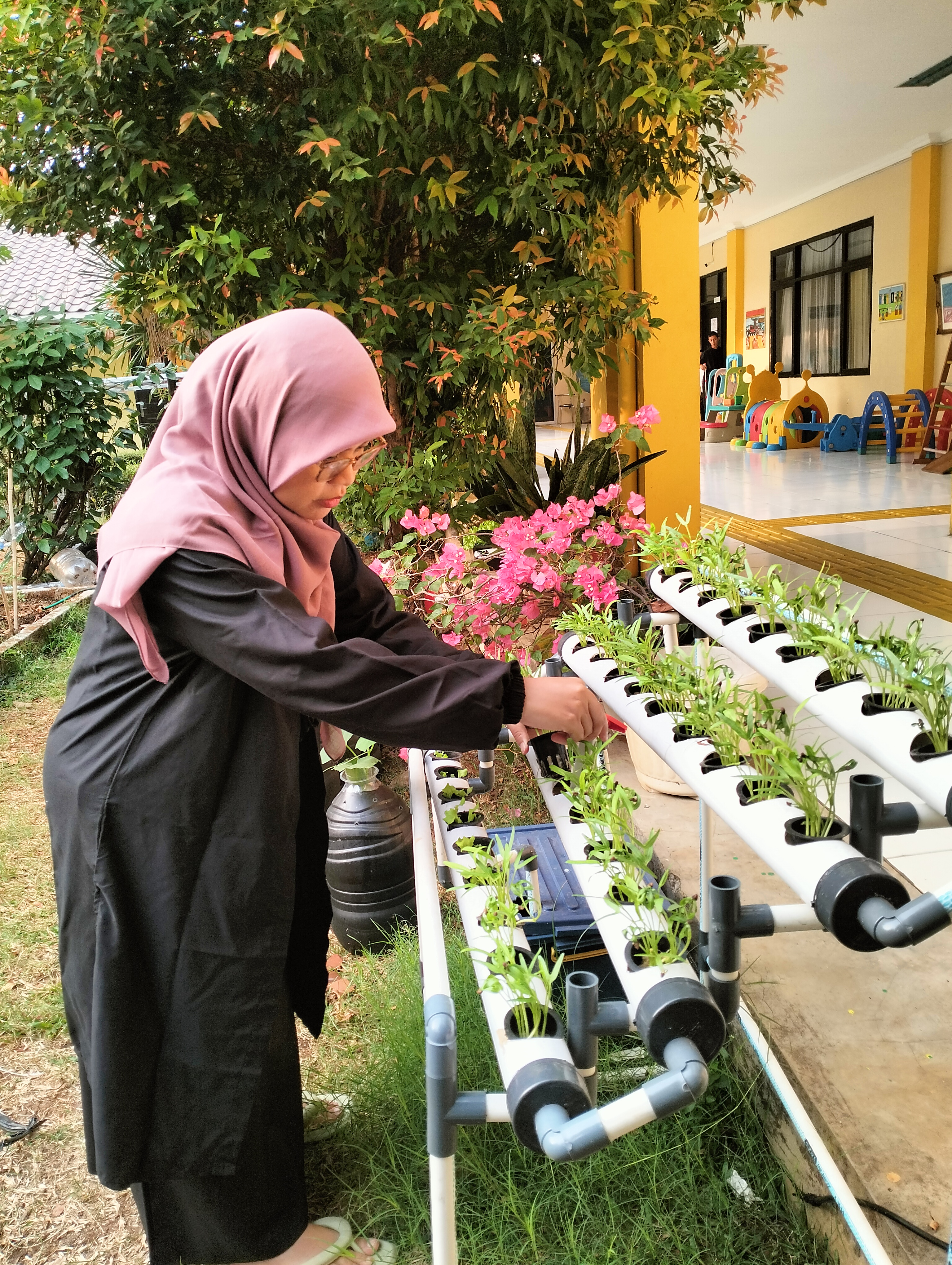 Lahan Urban Farming SLB A Pembina Tingkat Nasional - Gambar 87