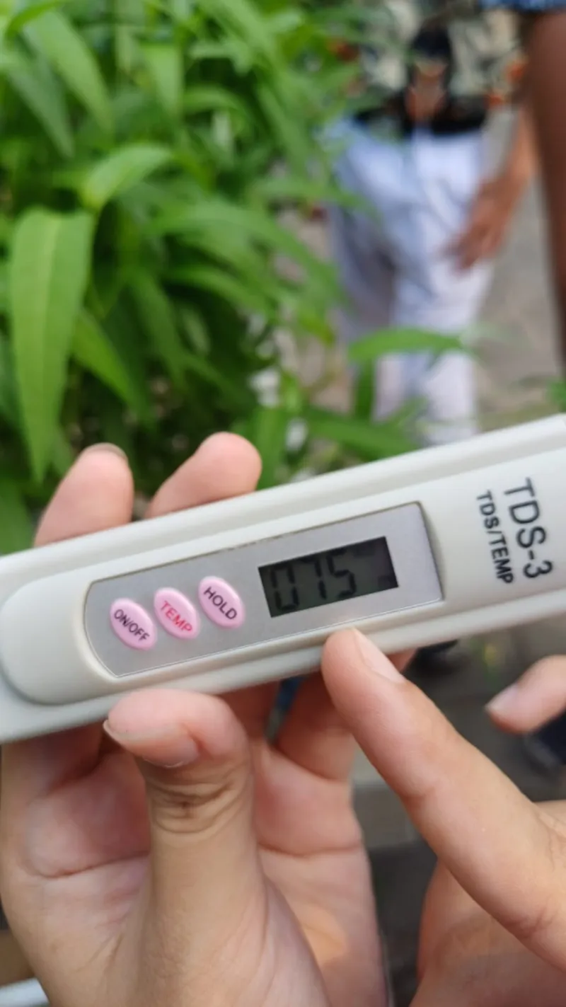 Lahan Urban Farming SMKN 59 Jakarta - Gambar 169