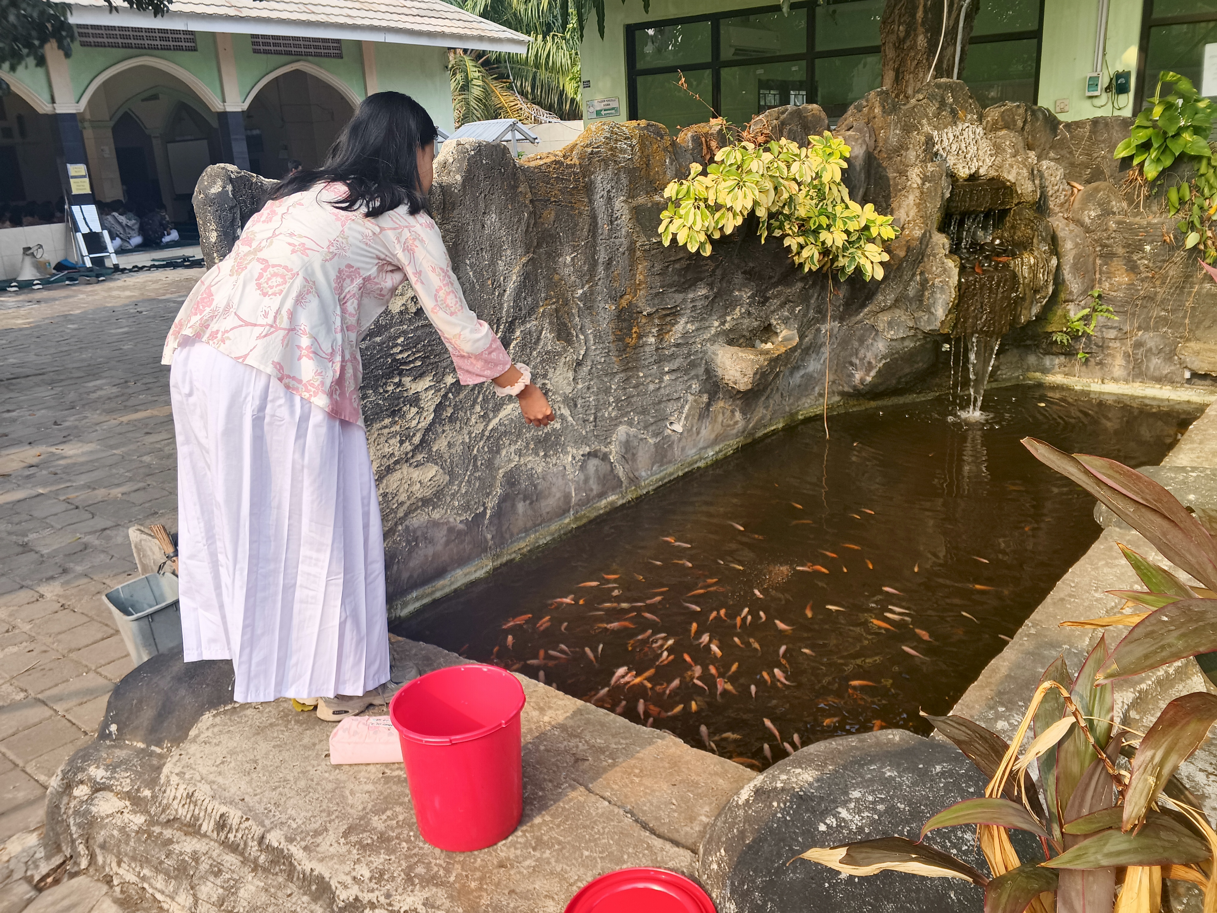 Lahan Urban Farming SMKN 59 Jakarta - Gambar 167