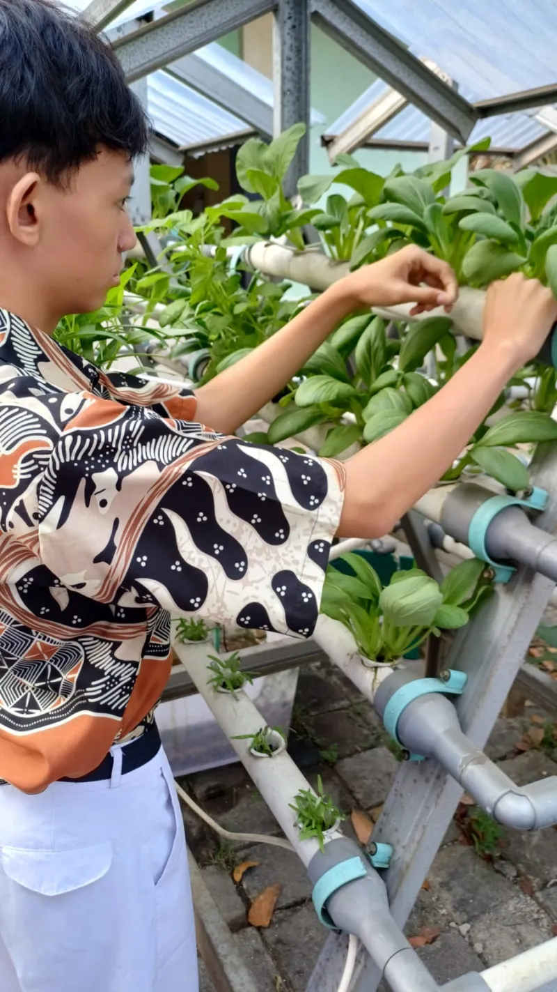 Lahan Urban Farming SMKN 59 Jakarta - Gambar 163