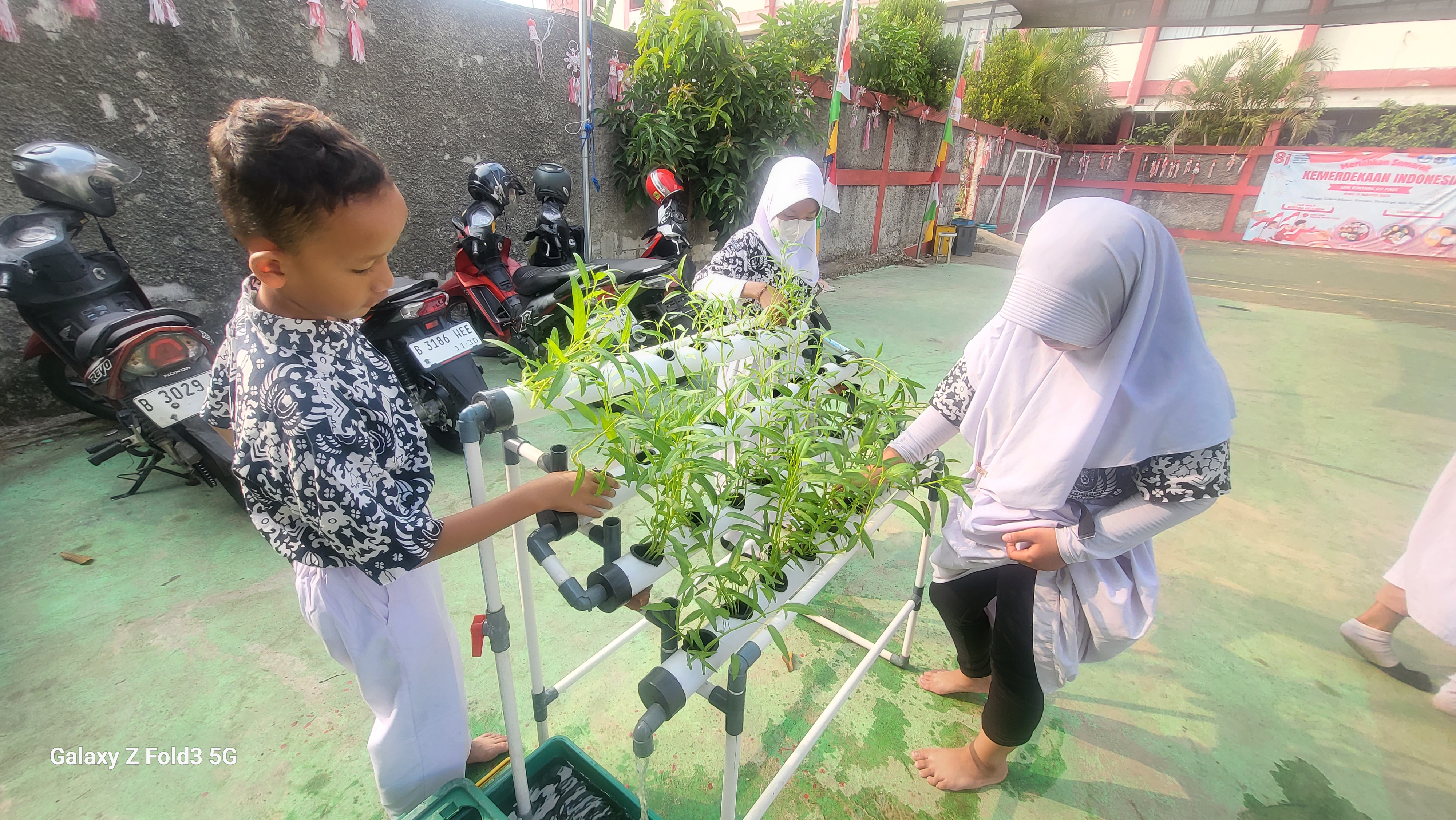 Lahan Urban Farming SDN Bintaro 09 - Gambar 118