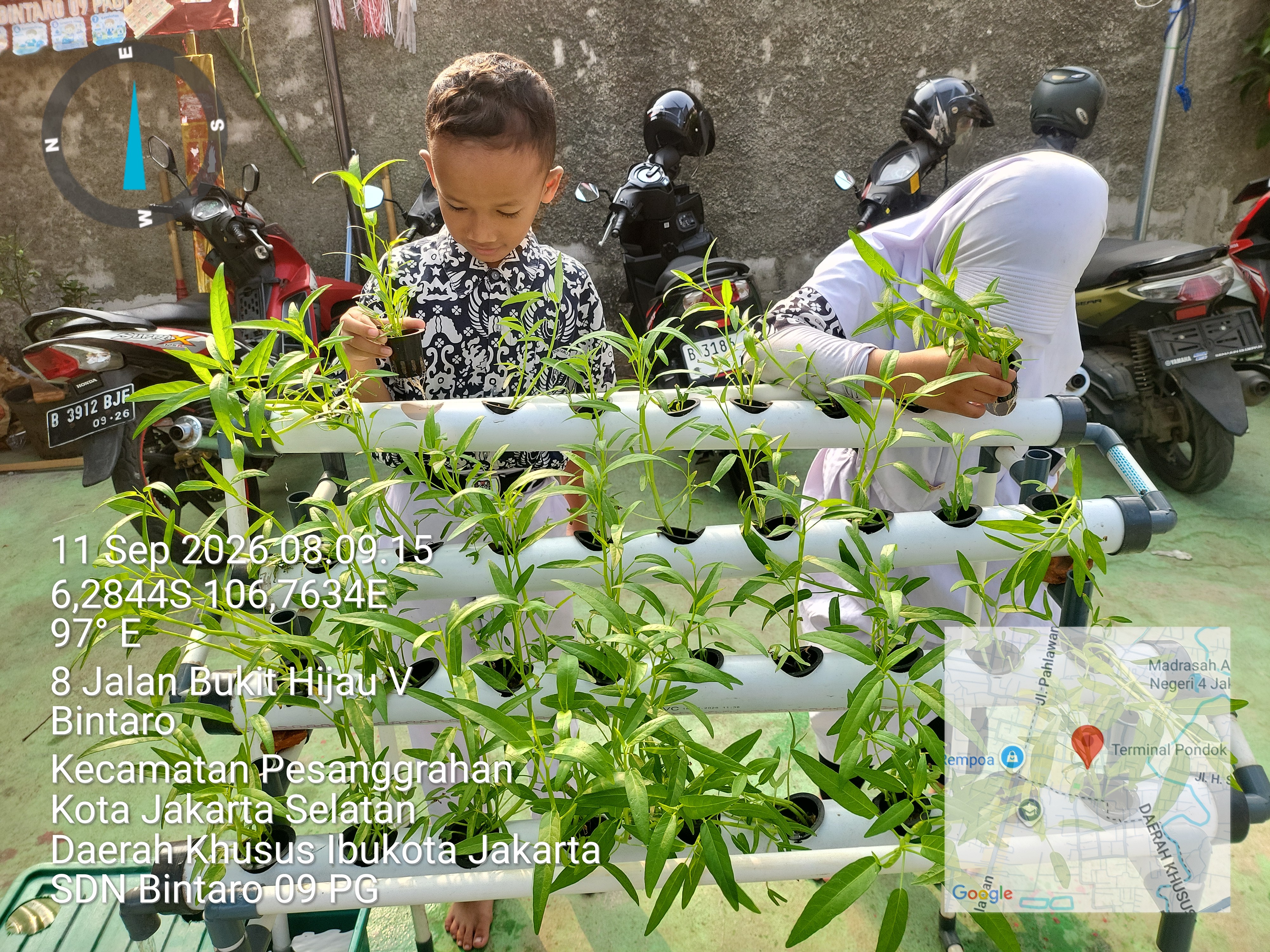 Lahan Urban Farming SDN Bintaro 09 - Gambar 116