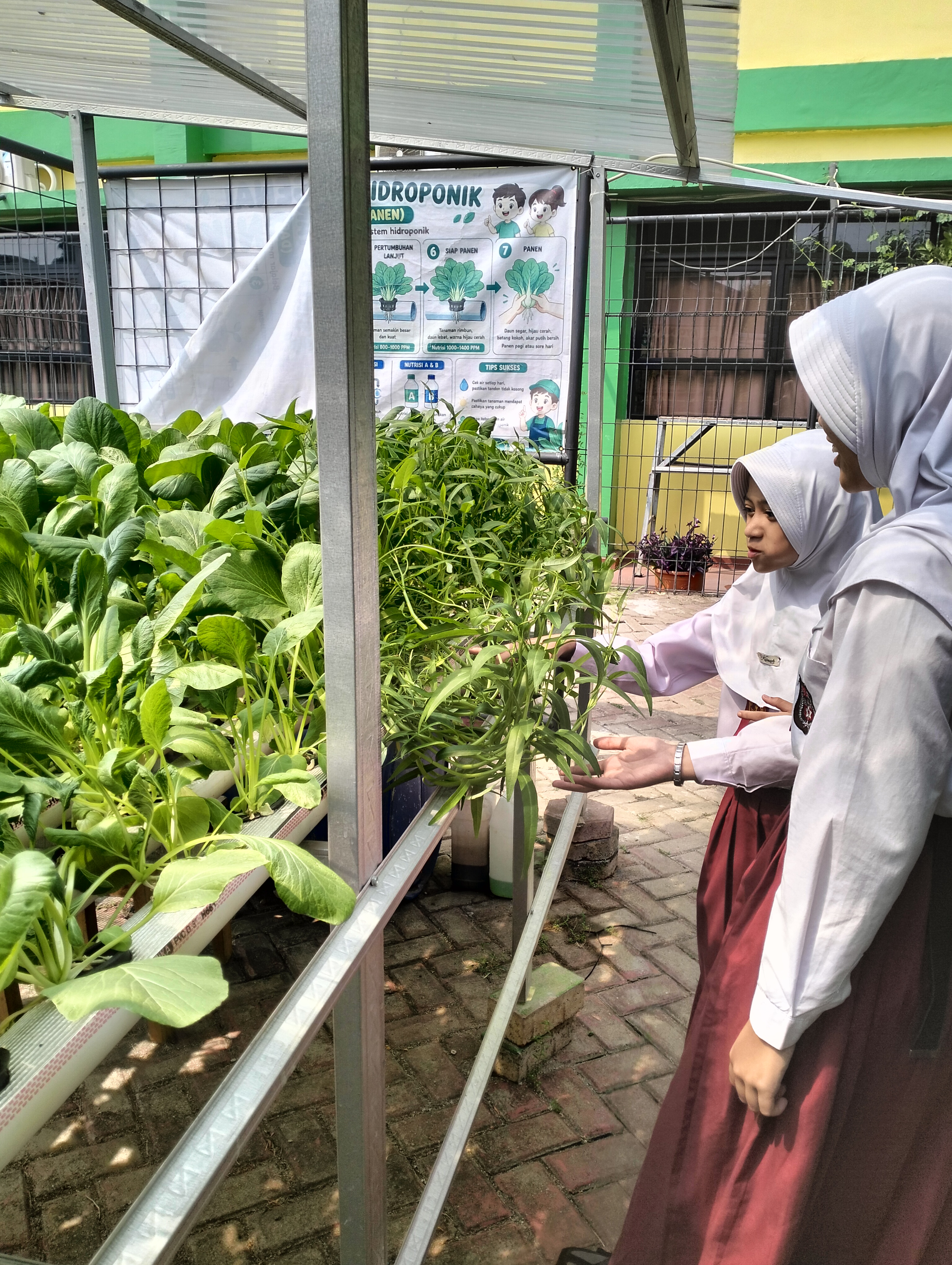 Lahan Urban Farming SDN Lenteng Agung 07 Jakarta - Gambar 77