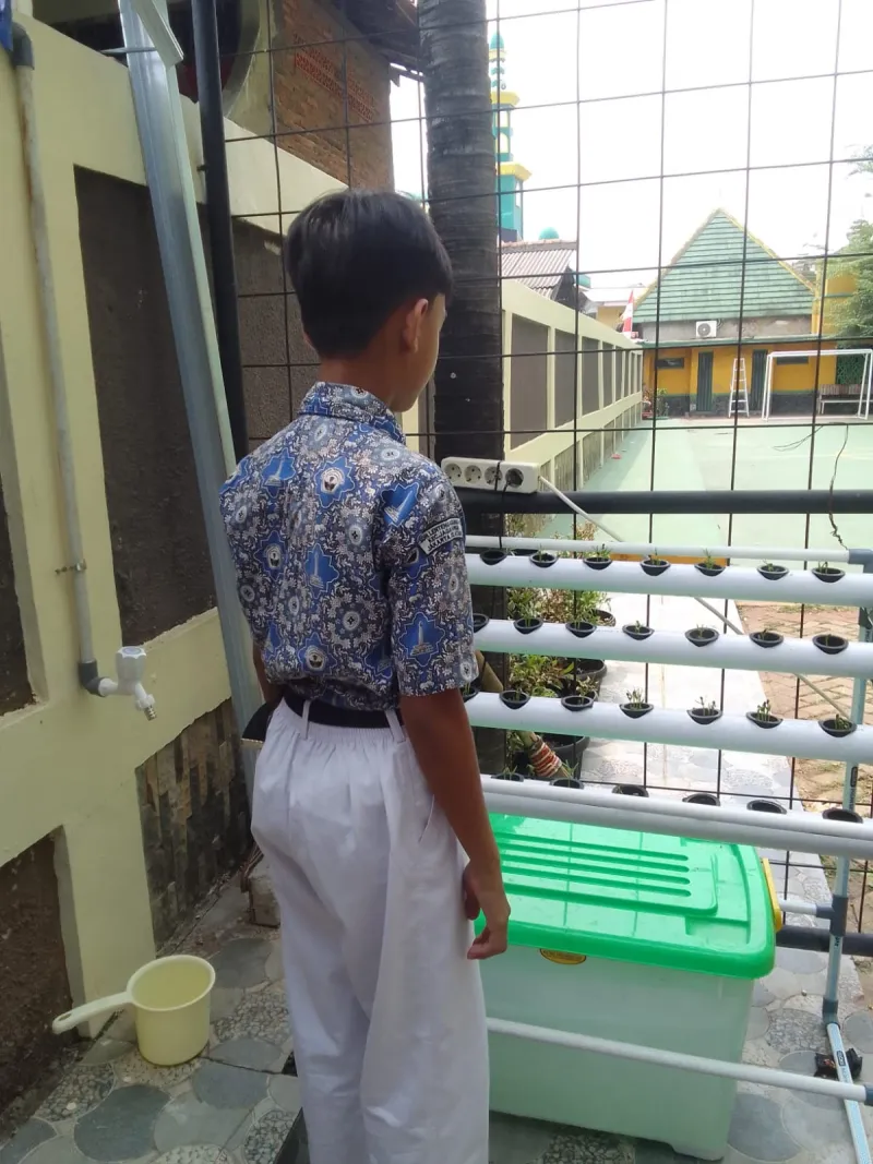 Lahan Urban Farming SDN Lenteng Agung 07 Jakarta - Gambar 75
