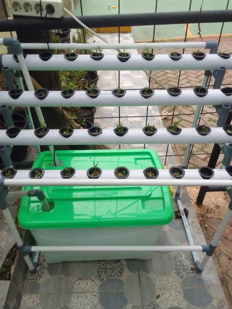 Lahan Urban Farming SDN Lenteng Agung 07 Jakarta - Gambar 76