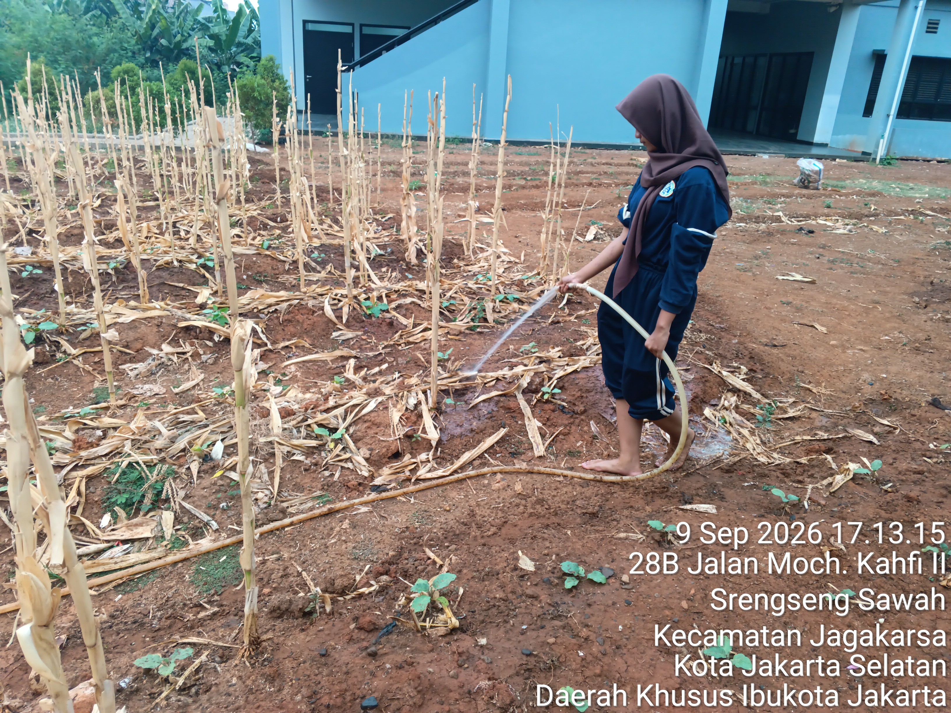 KEBUN SMKN 74 JAGAKARSA JAKARTA SELATAN - Gambar 206