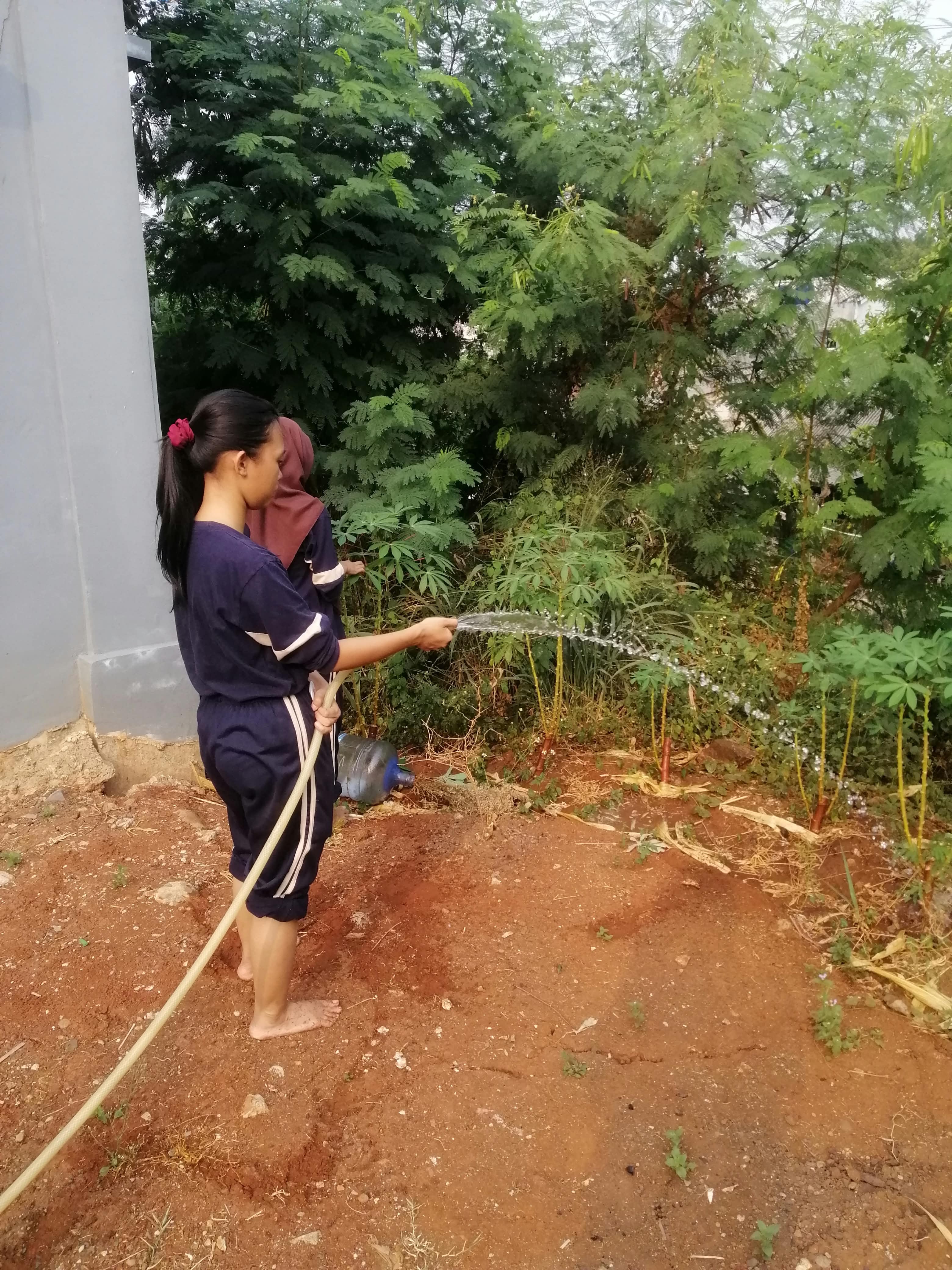 KEBUN SMKN 74 JAGAKARSA JAKARTA SELATAN - Gambar 199