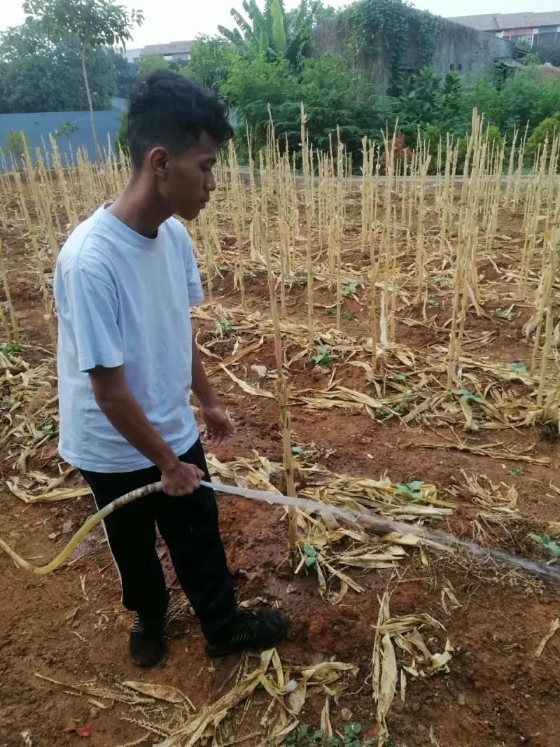 KEBUN SMKN 74 JAGAKARSA JAKARTA SELATAN - Gambar 196