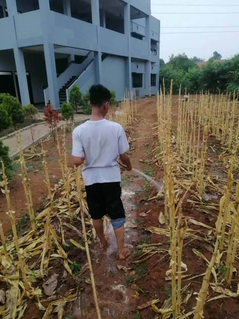 KEBUN SMKN 74 JAGAKARSA JAKARTA SELATAN - Gambar 195