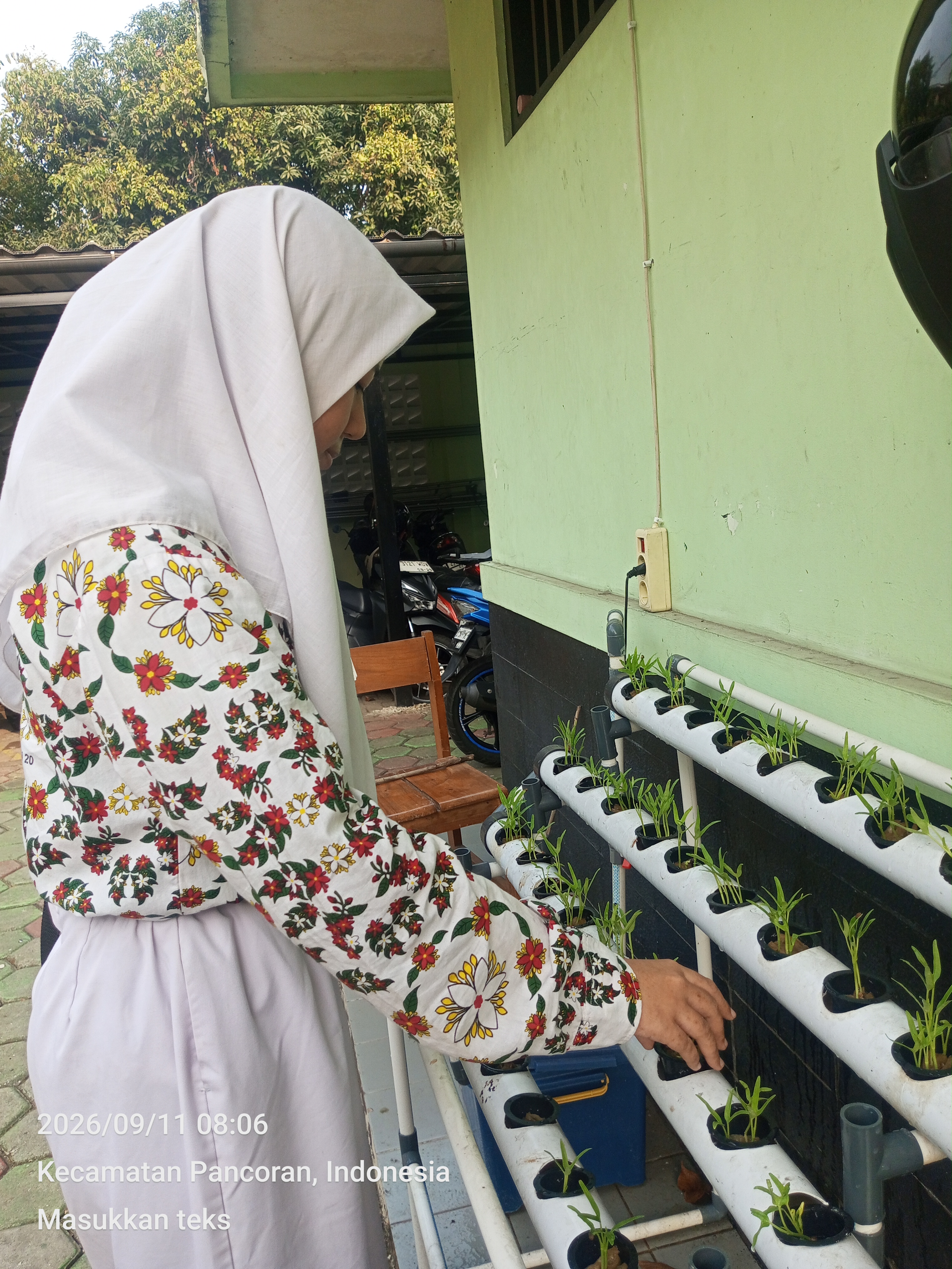 Lahan Urban Farming SMKN 20 Jakarta - Gambar 84