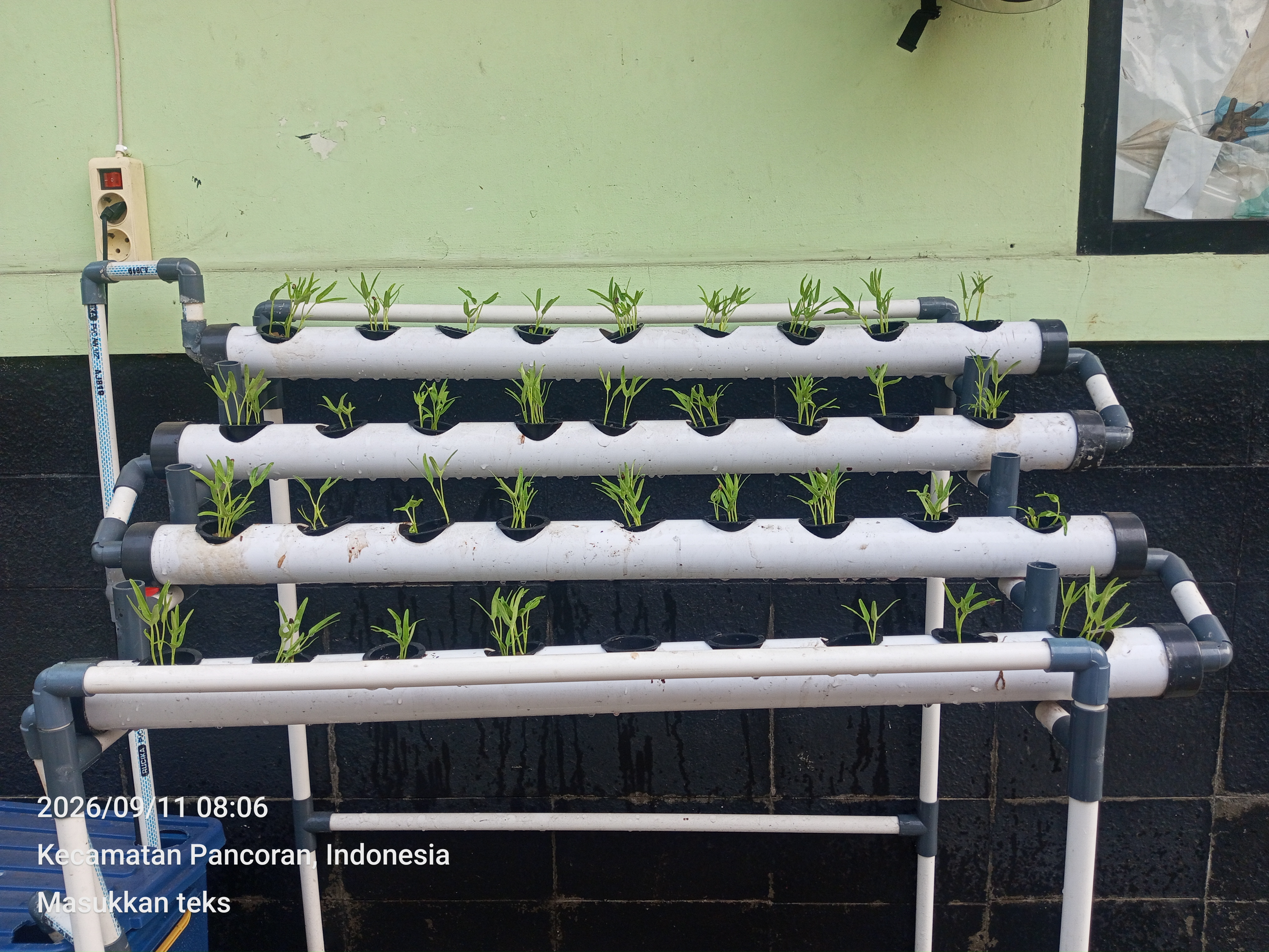Lahan Urban Farming SMKN 20 Jakarta - Gambar 87