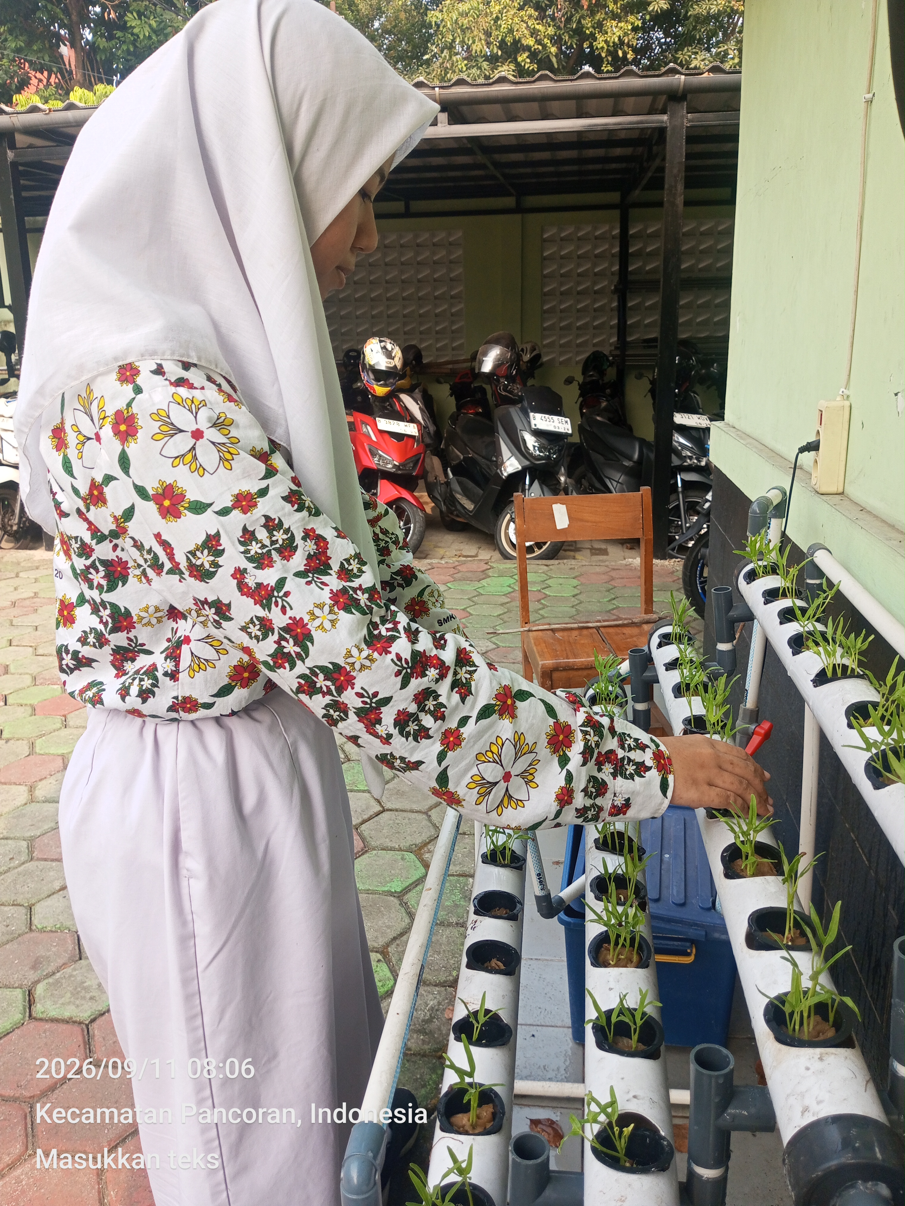 Lahan Urban Farming SMKN 20 Jakarta - Gambar 83