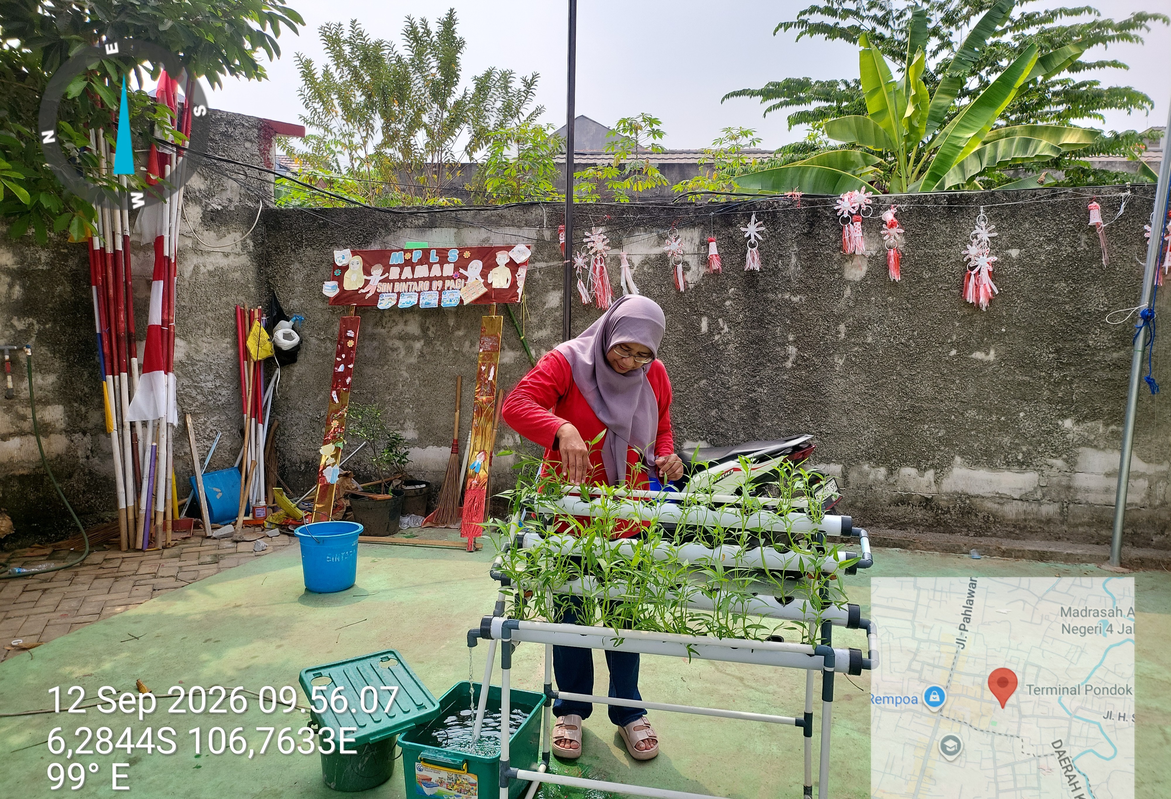 Lahan Urban Farming SDN Bintaro 09 - Gambar 113