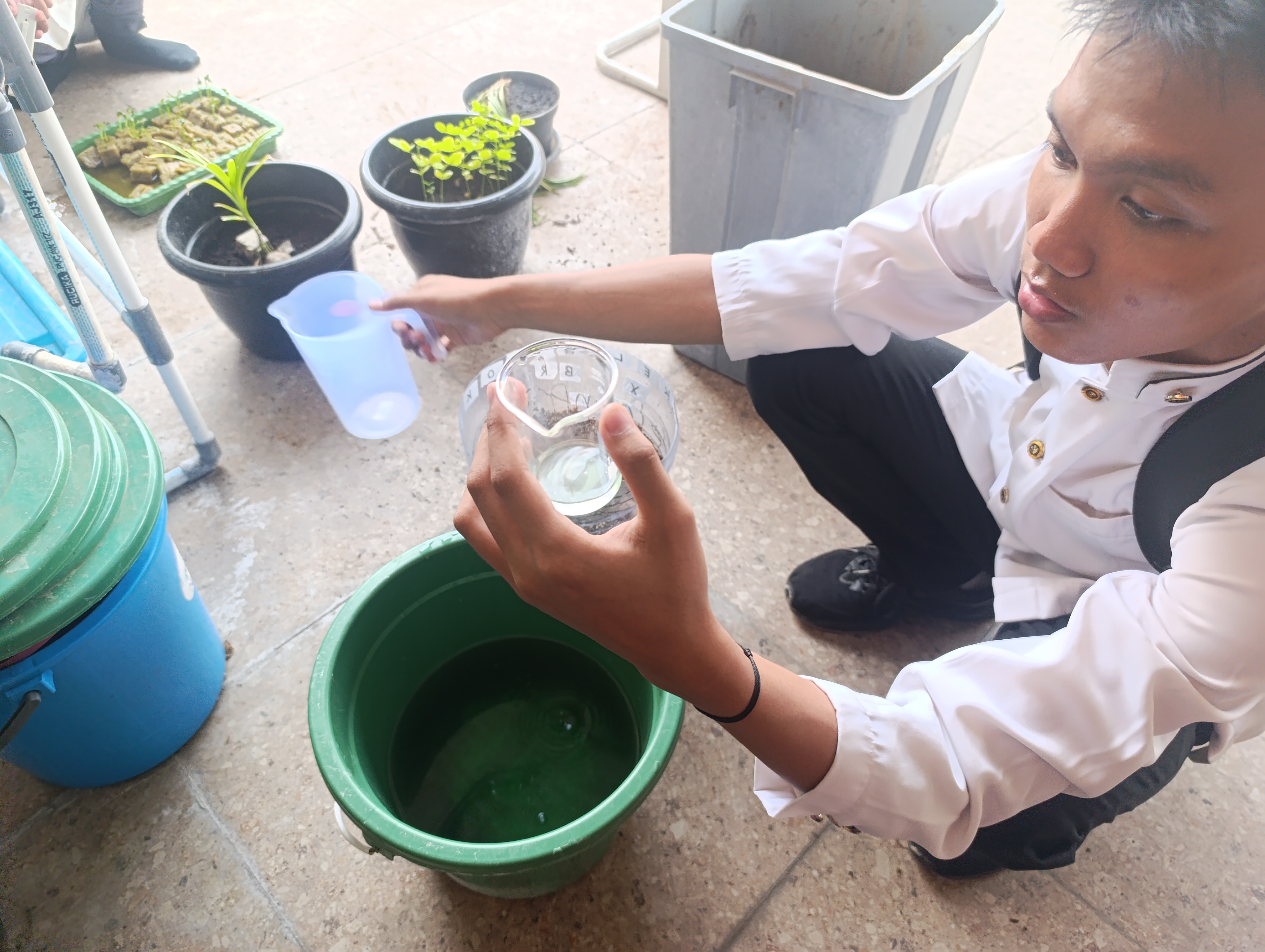 Lahan Urban Farming SMKN 41 Jakarta - Gambar 40