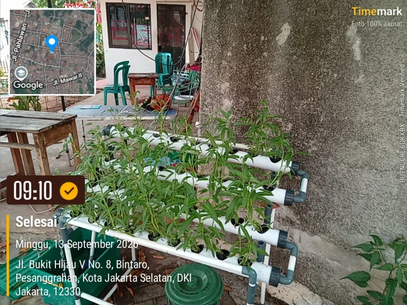 Lahan Urban Farming SDN Bintaro 09 - Gambar 109