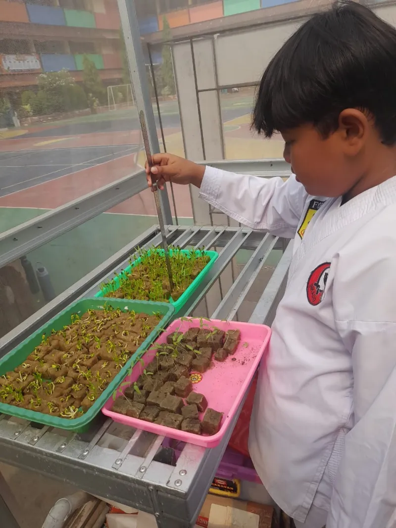 Lahan Urban Farming SDN Cipulir 03 - Gambar 50