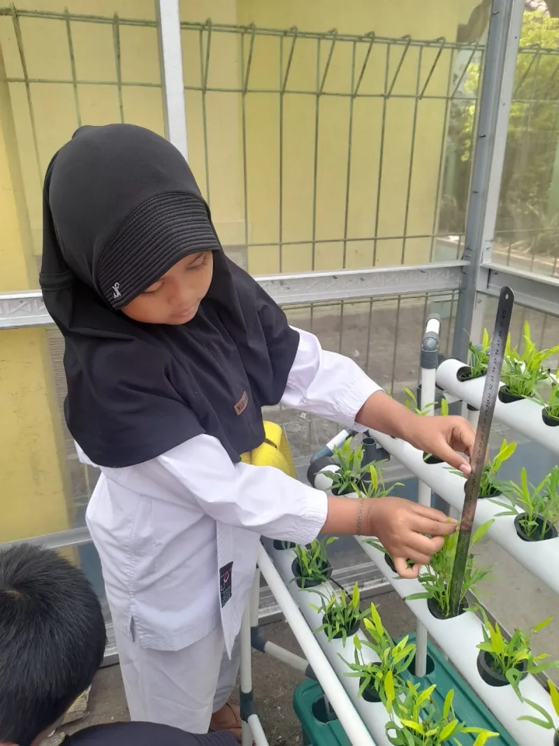 Lahan Urban Farming SDN Cipulir 03 - Gambar 52