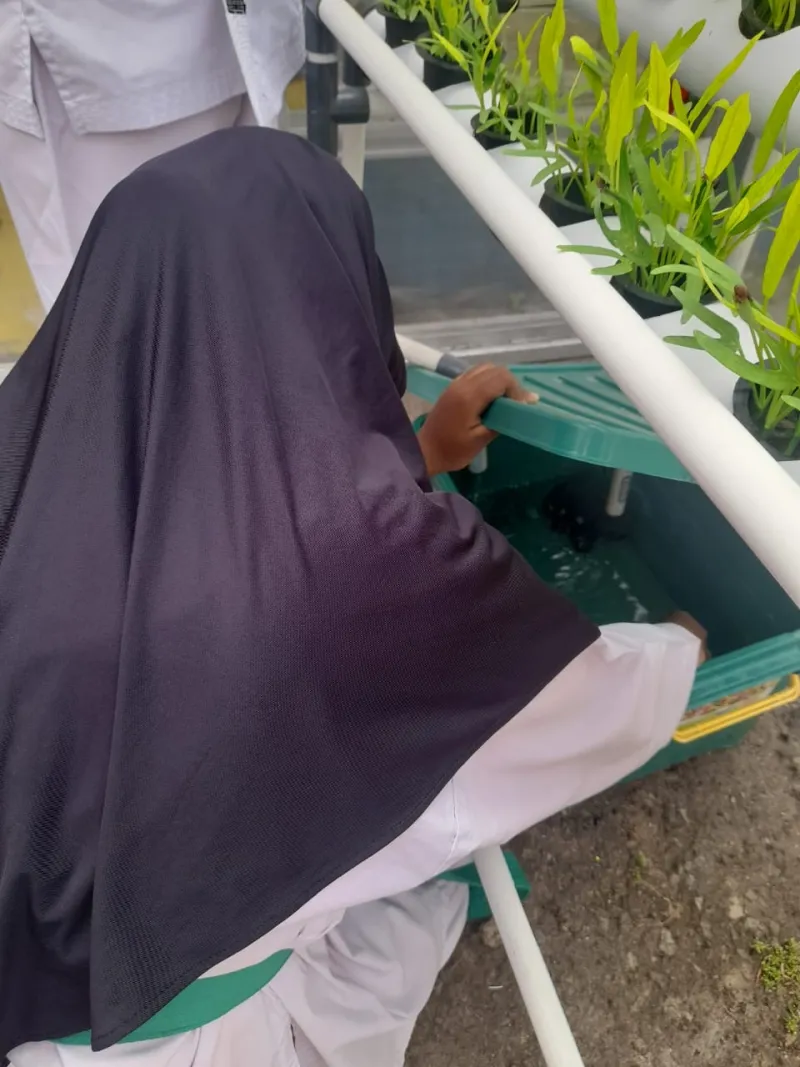 Lahan Urban Farming SDN Cipulir 03 - Gambar 49